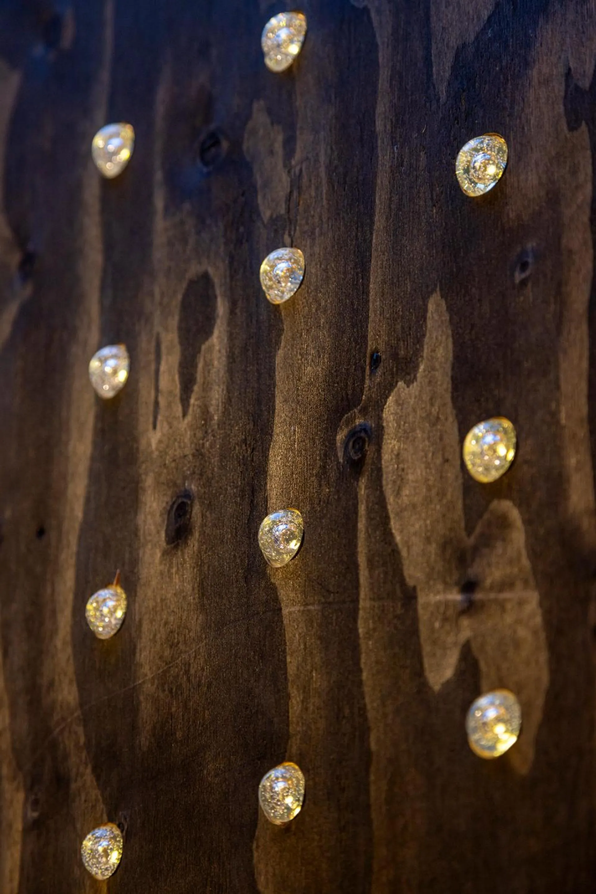 Property building in Machiya Hotel YANAGI