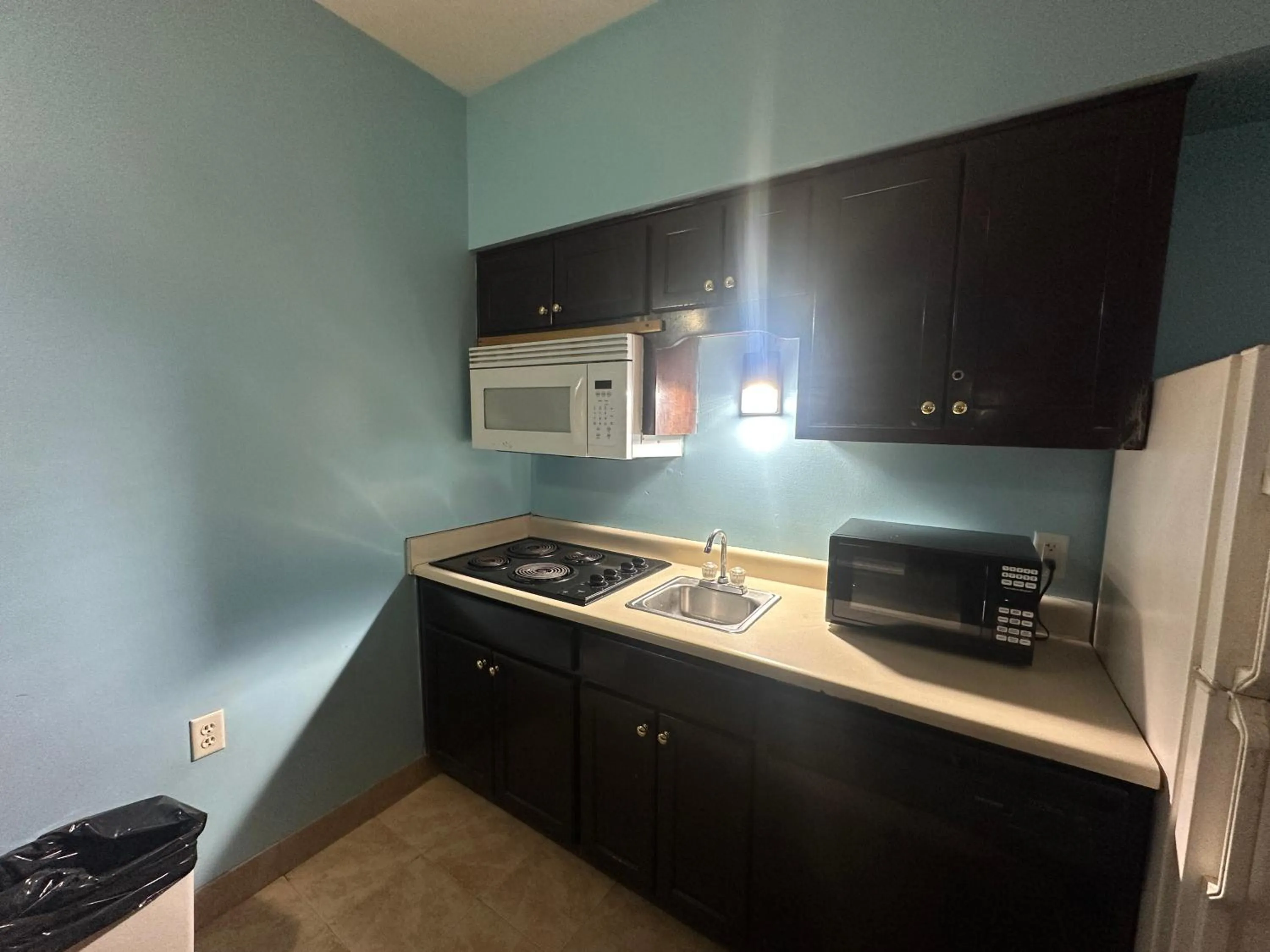 Kitchen or kitchenette in Guest Cottage & Suites By OYO Brunswick-Golden Isles