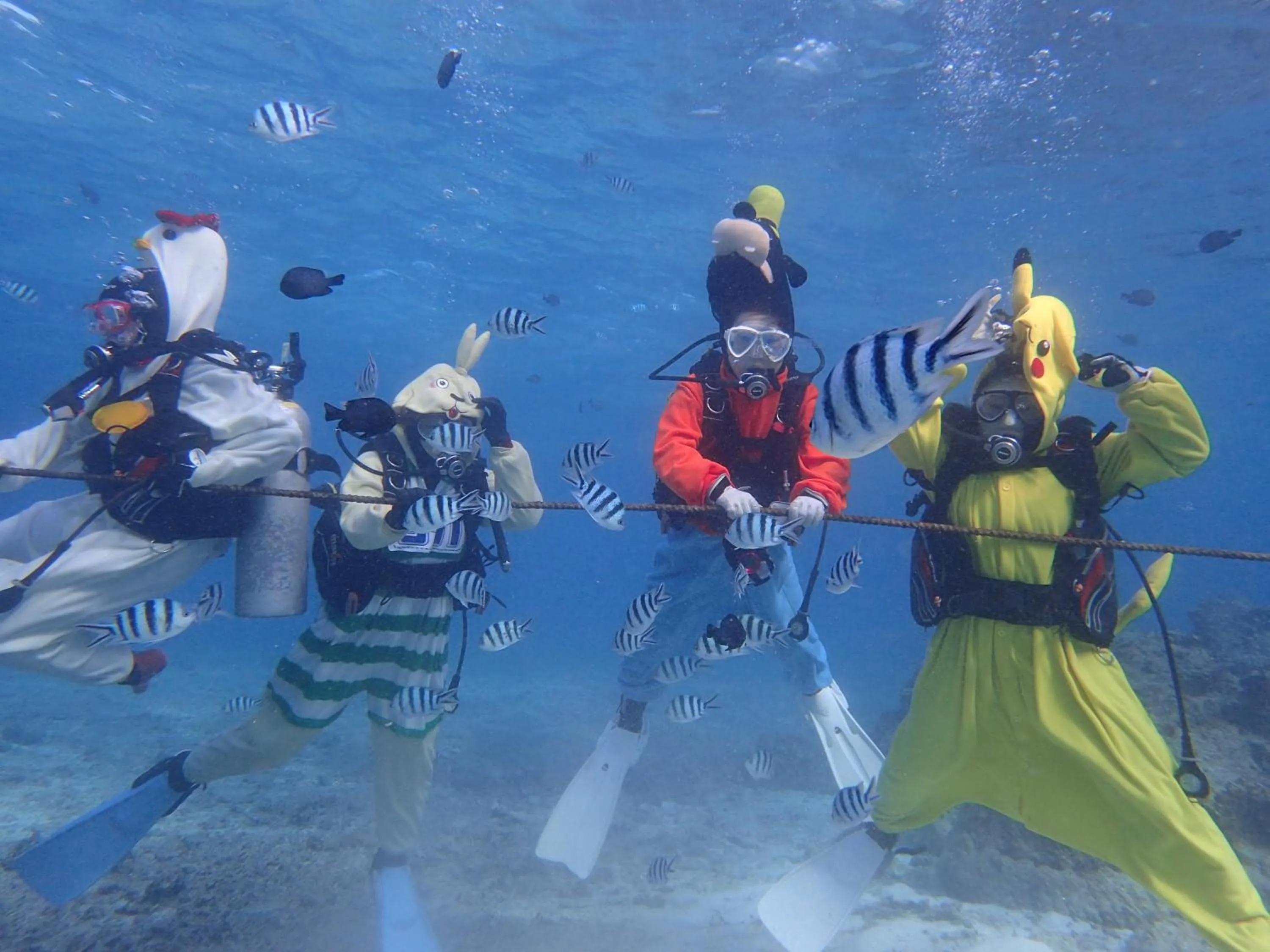 Diving in Ocean Resort PMC