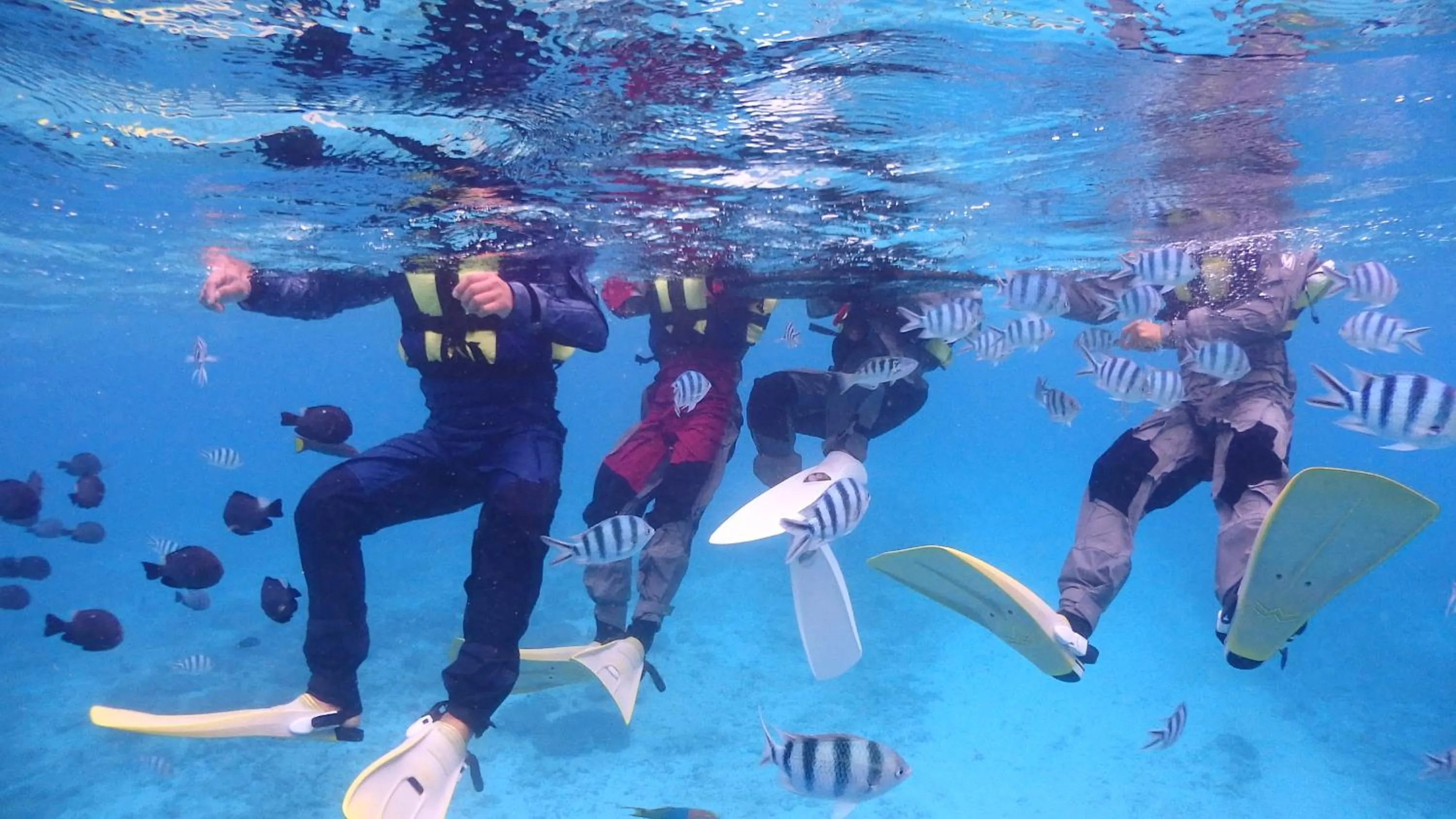 Snorkeling in Ocean Resort PMC
