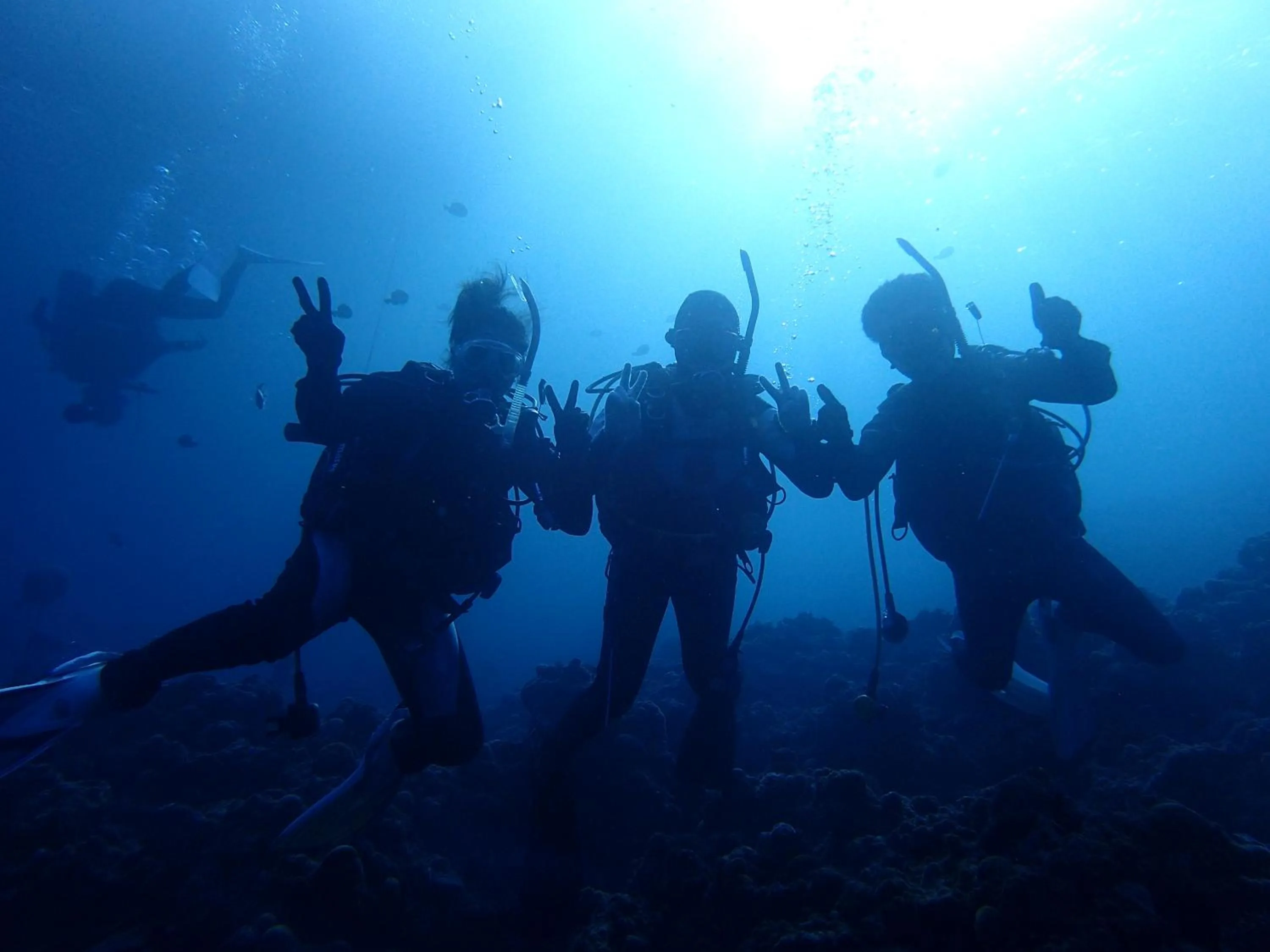 Snorkeling in Ocean Resort PMC