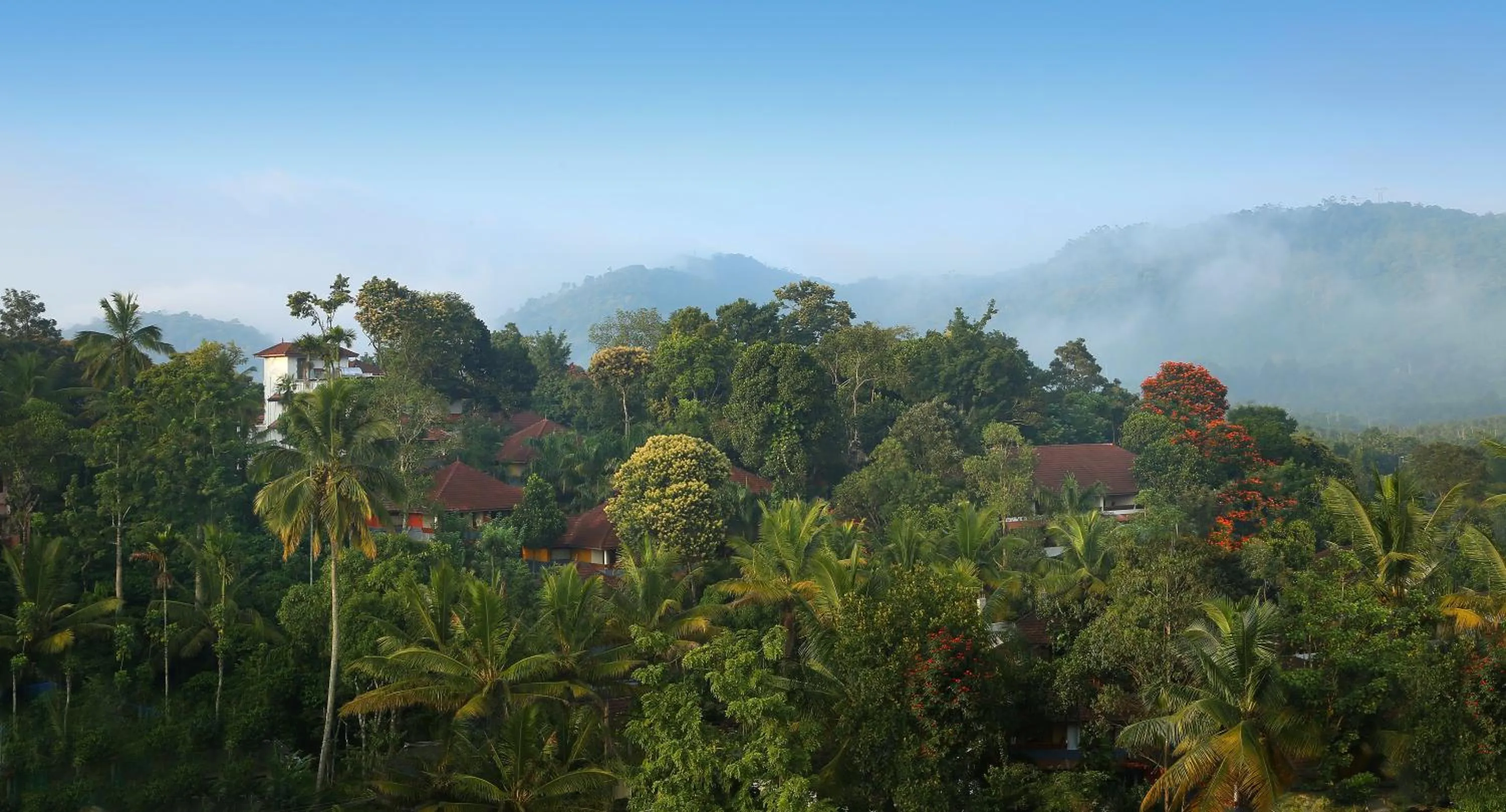 Property building in Elephant Court Thekkady