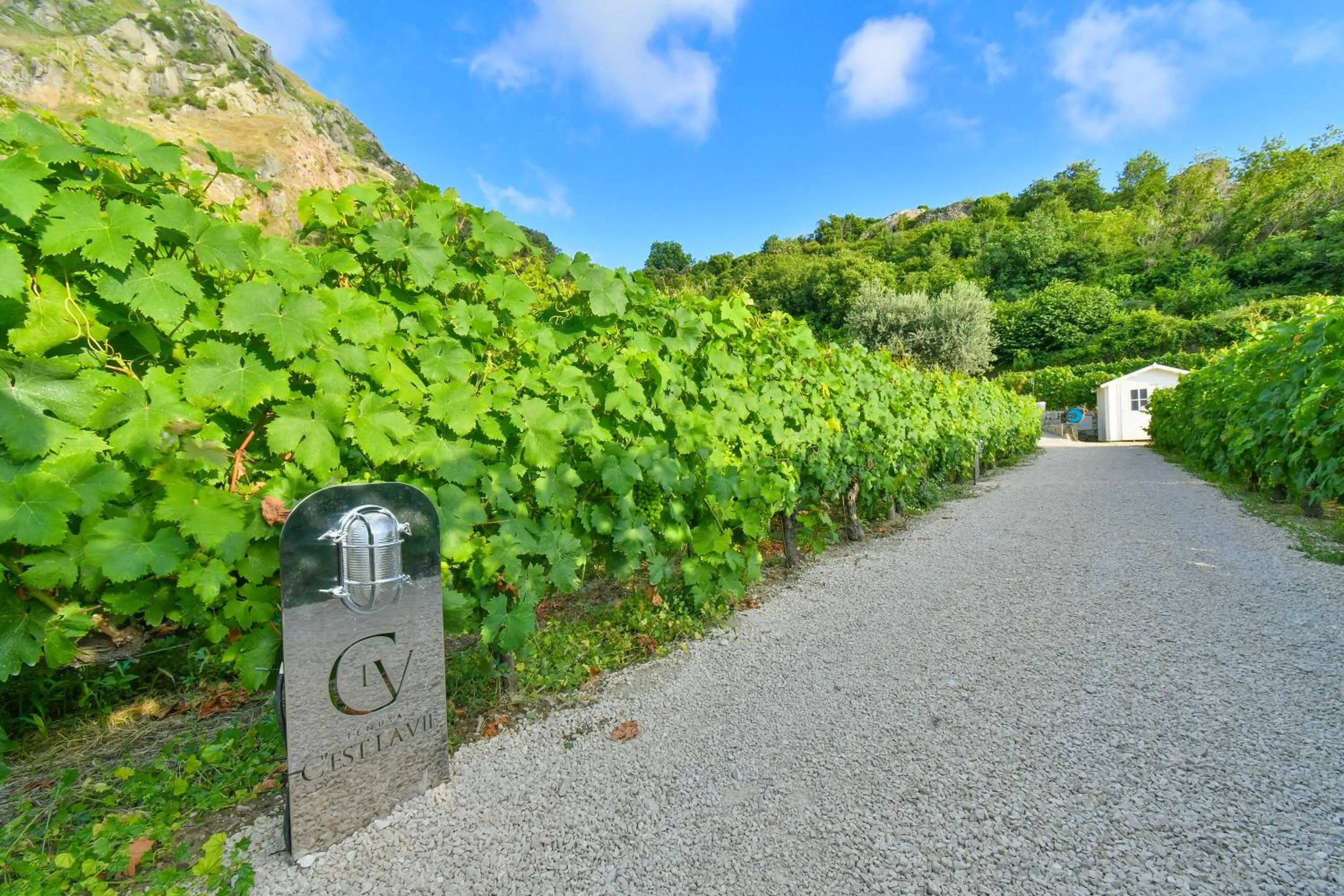 Garden in Tenuta C'est la Vie