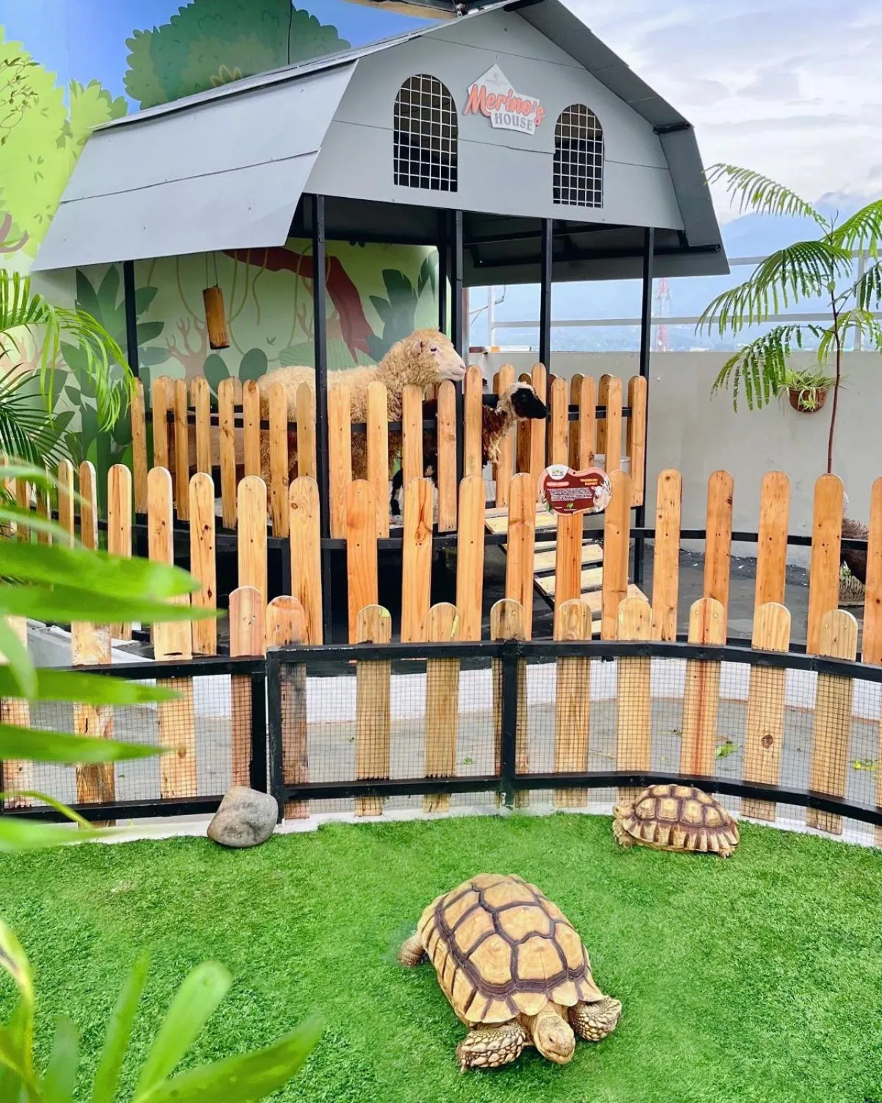 Area and facilities in Hotel Fortunagrande Jember By Fosia Hotels