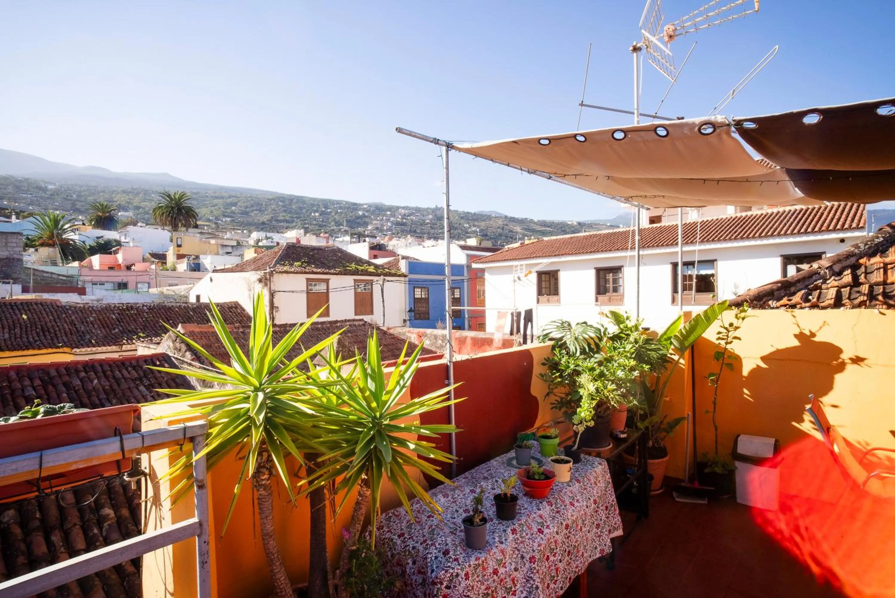 Hostel Tenerife