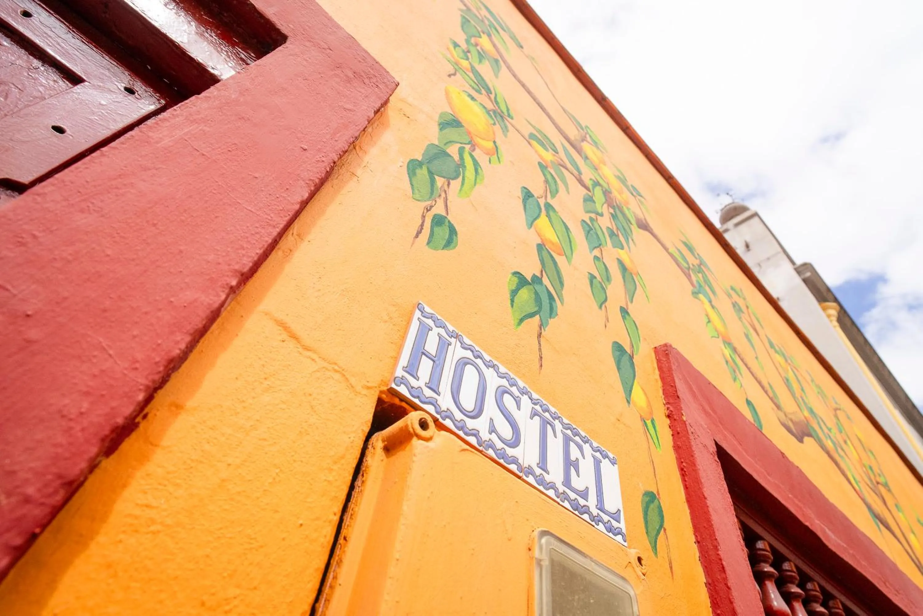 Hostel Tenerife