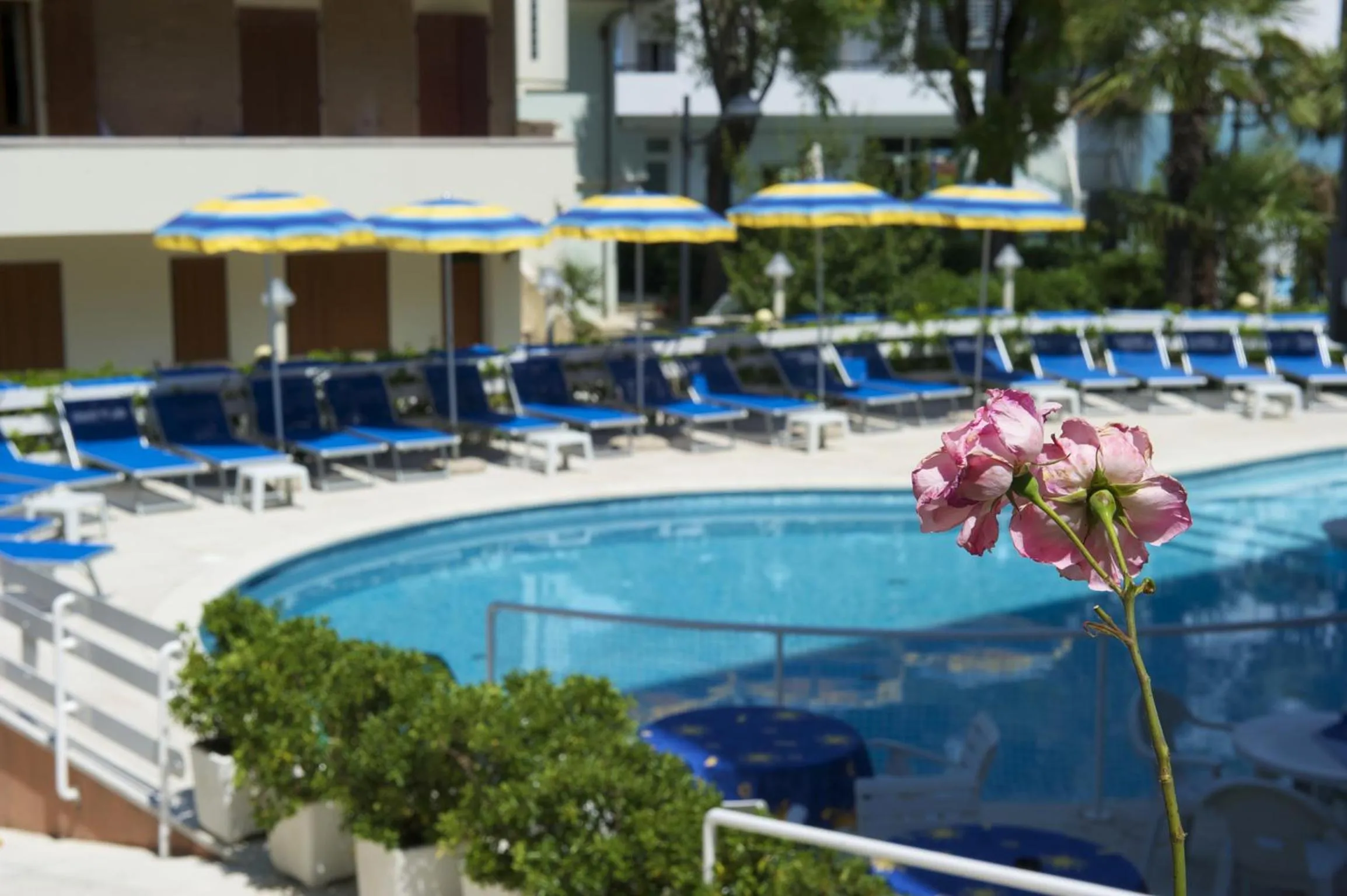 Swimming pool in Hotel Torretta
