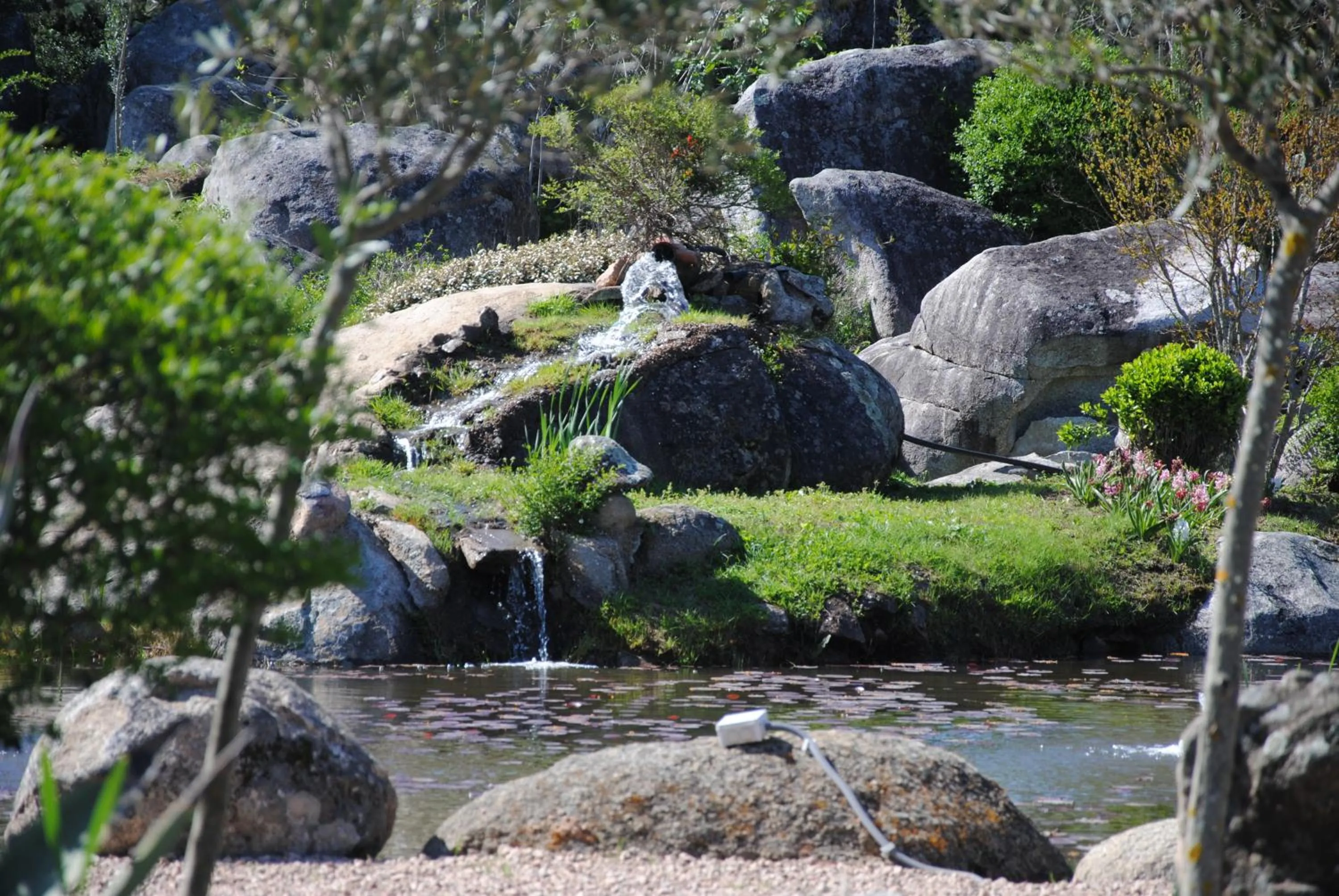 Area and facilities in San Giovanni