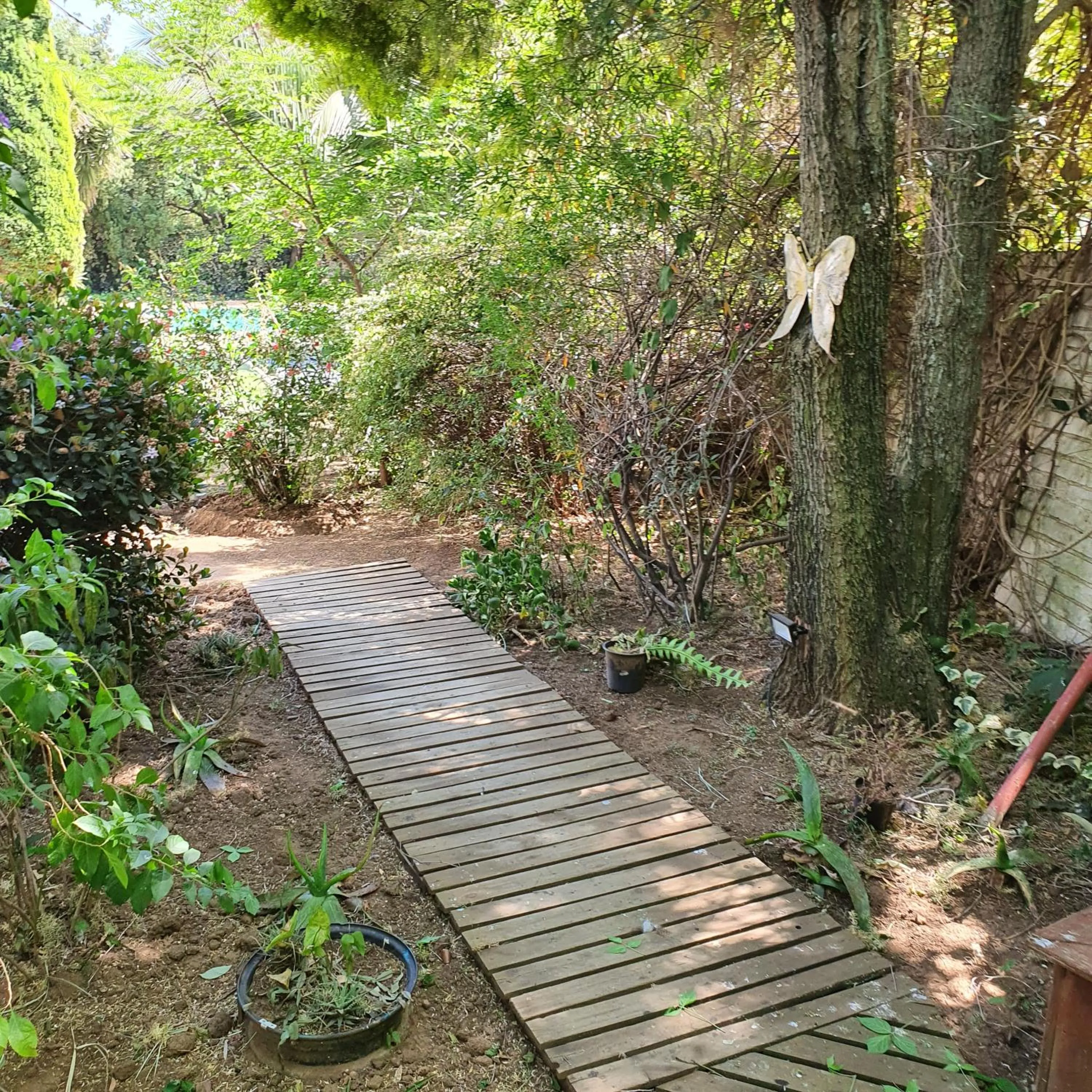 Garden in New Beginnings B&B