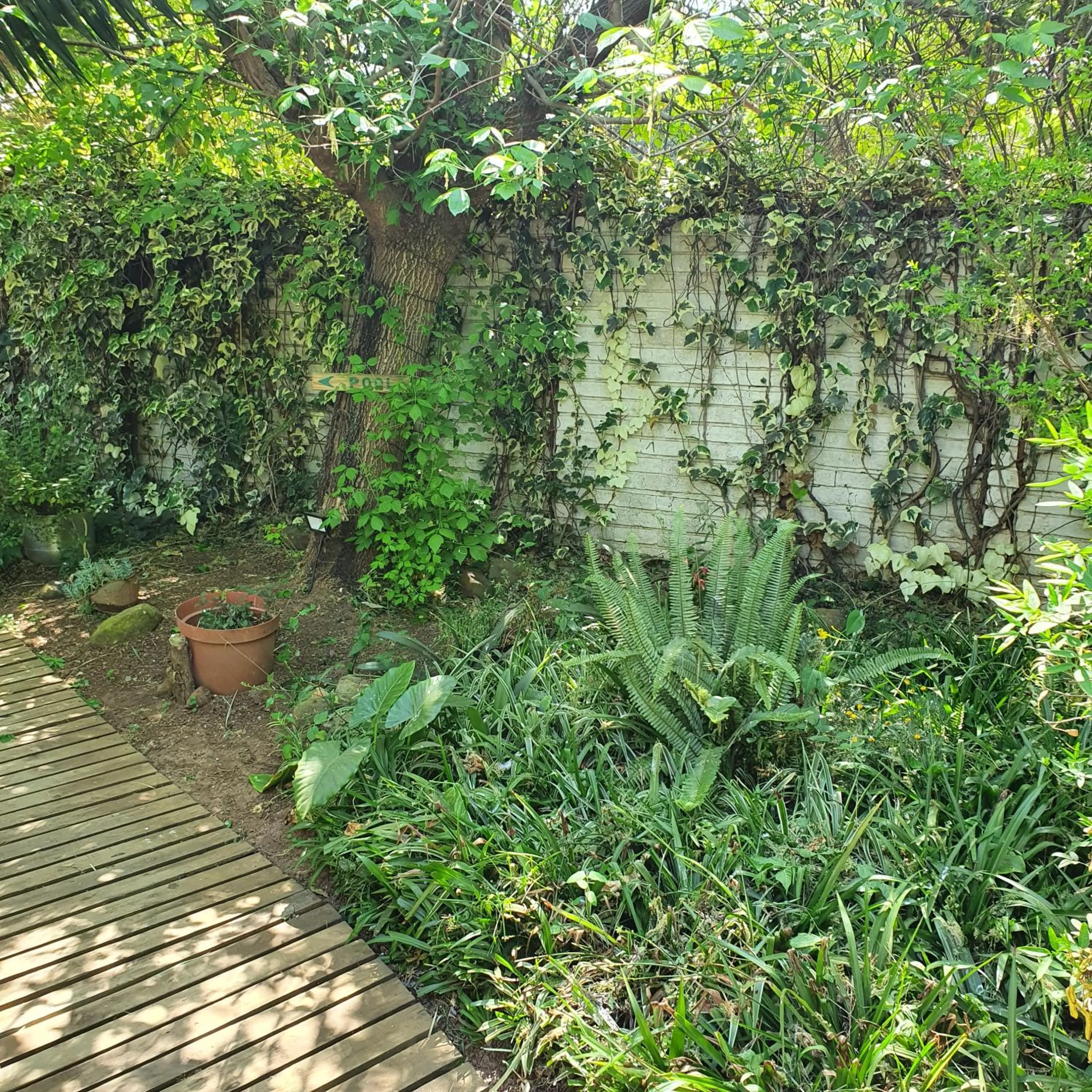 Garden in New Beginnings B&B