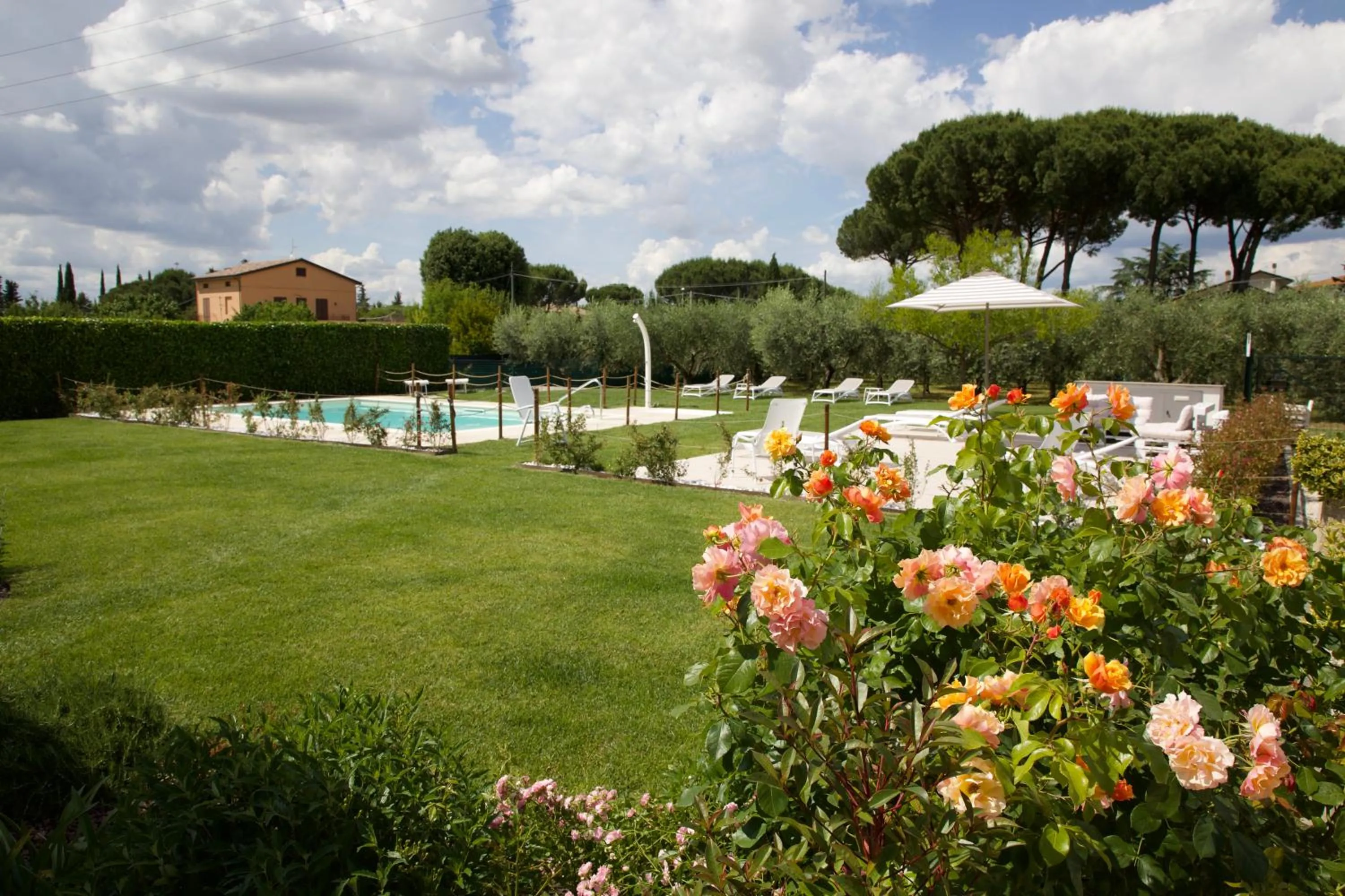 Garden in Rosa di Assisi