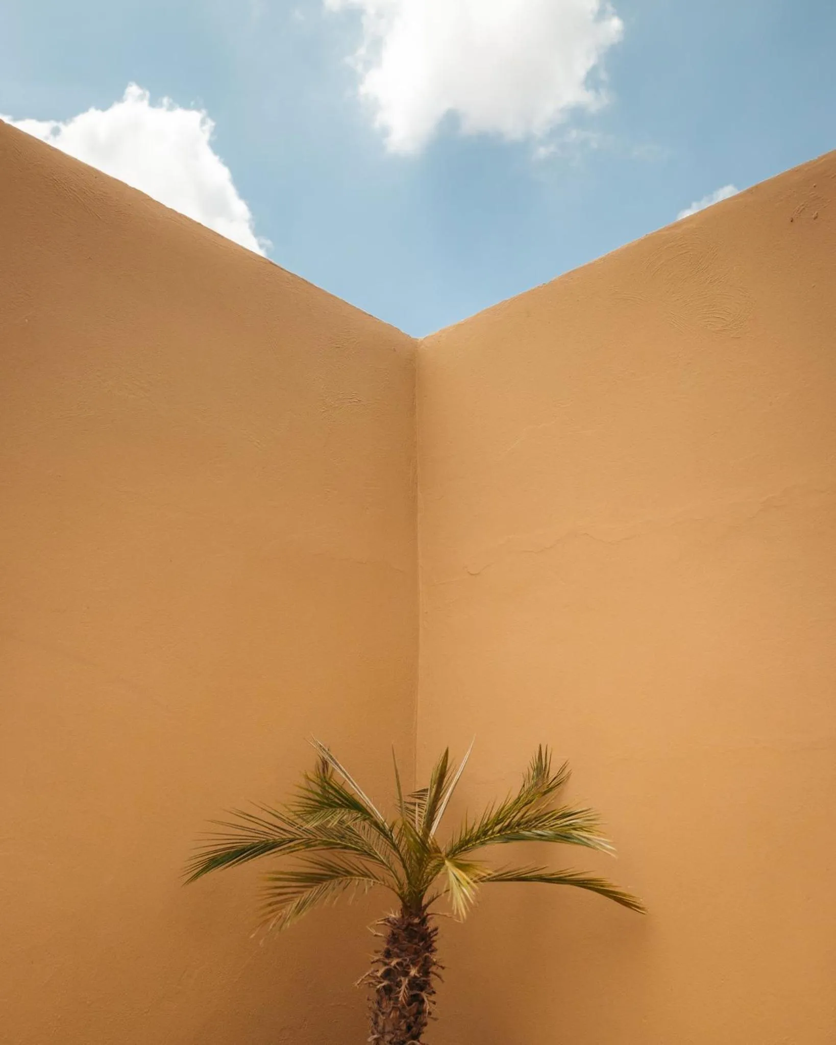 Patio in Riad Rafaele & SPA