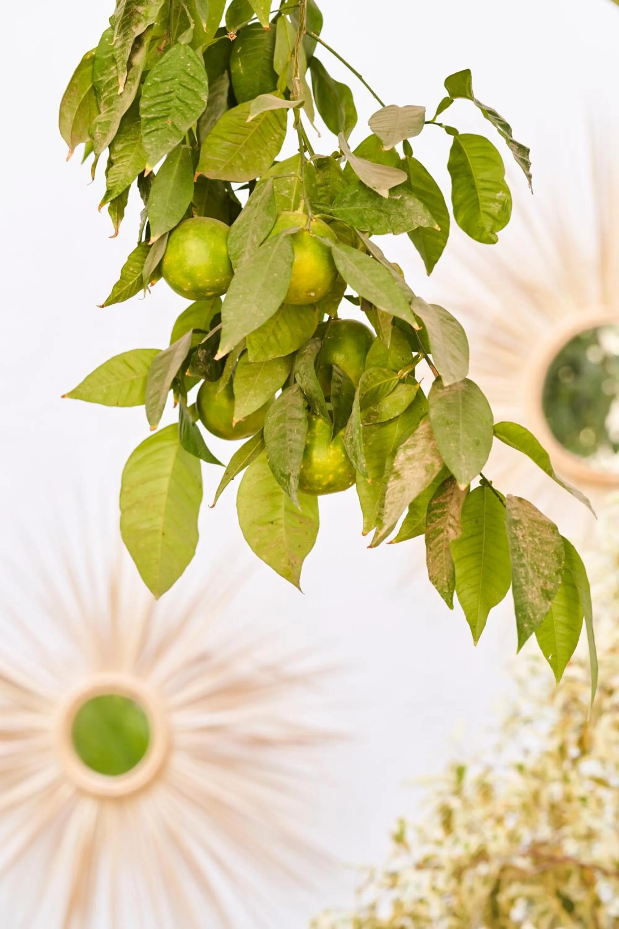 Decorative detail in Riad Rafaele & SPA