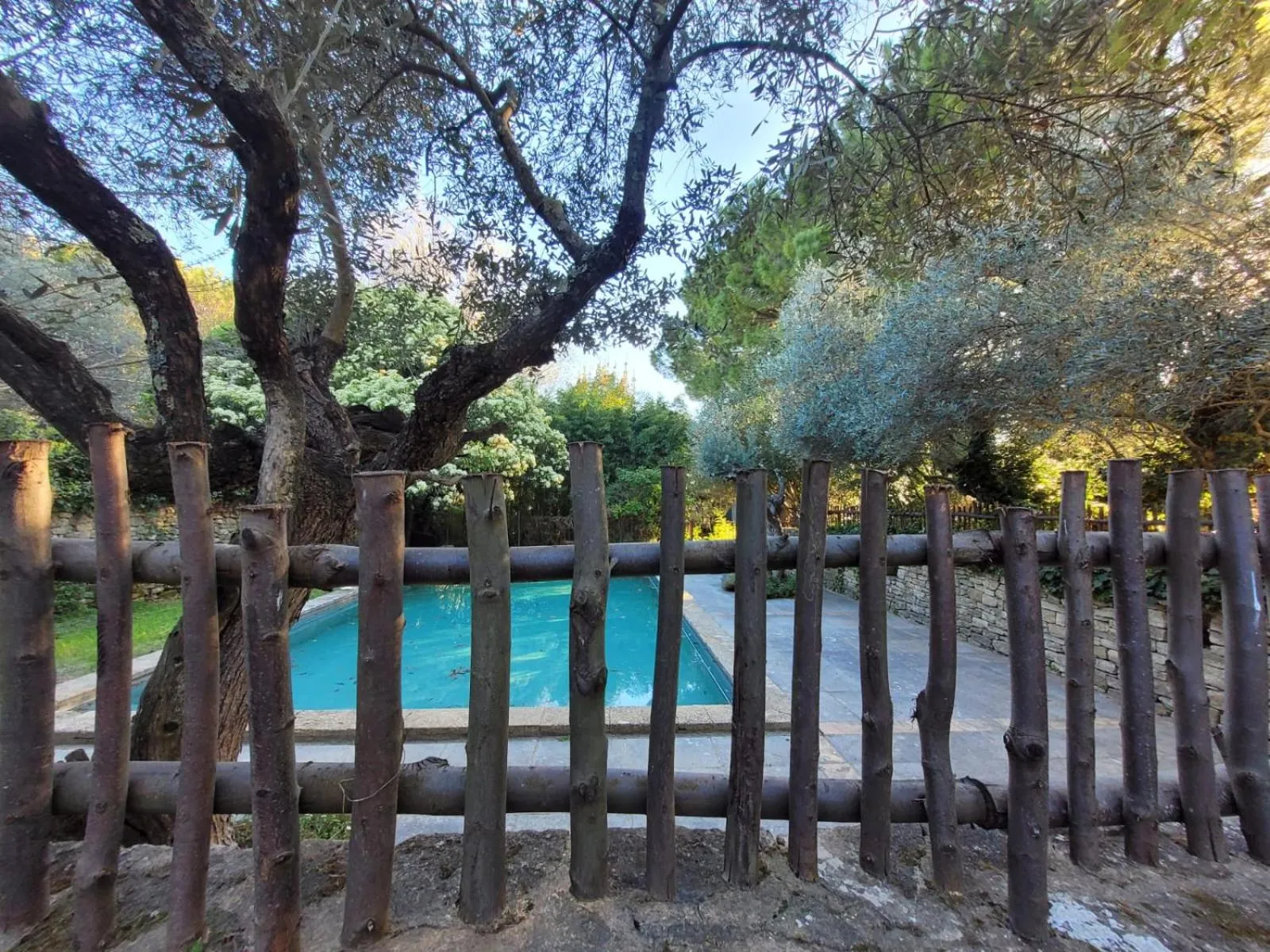 Swimming pool in Le Mas du Lac