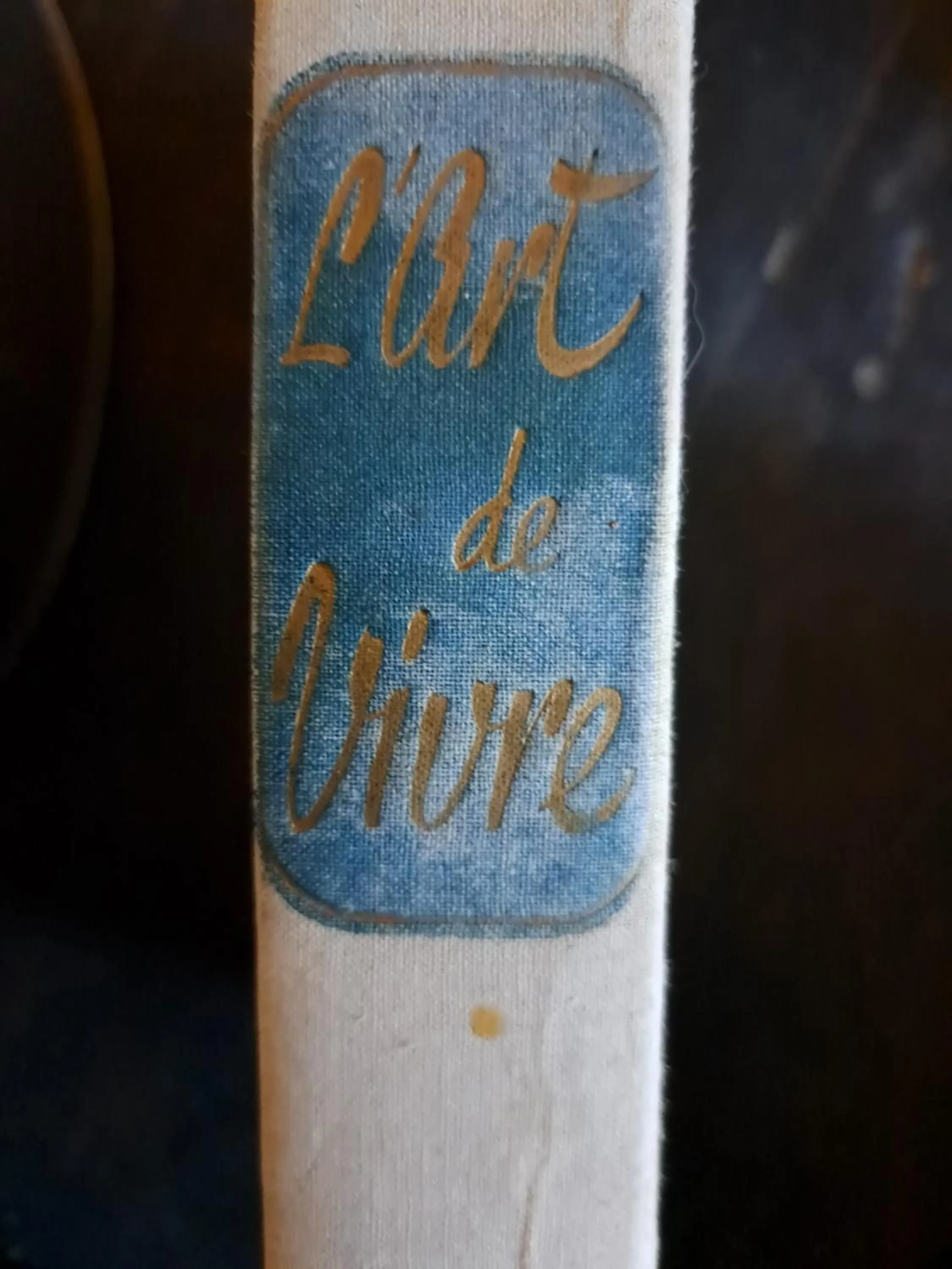 Activities in Le Mas du Lac