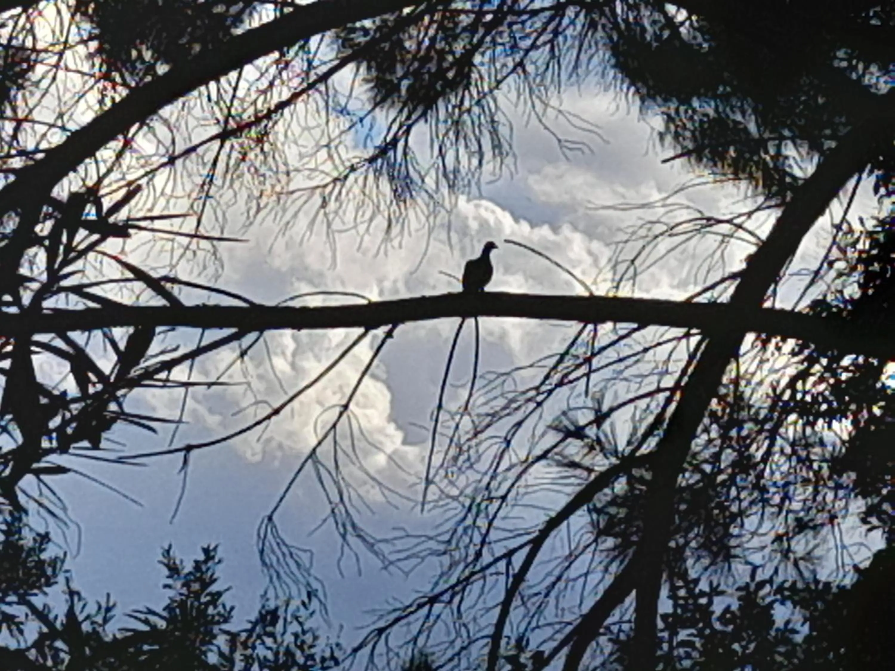 Property building in Le Mas du Lac