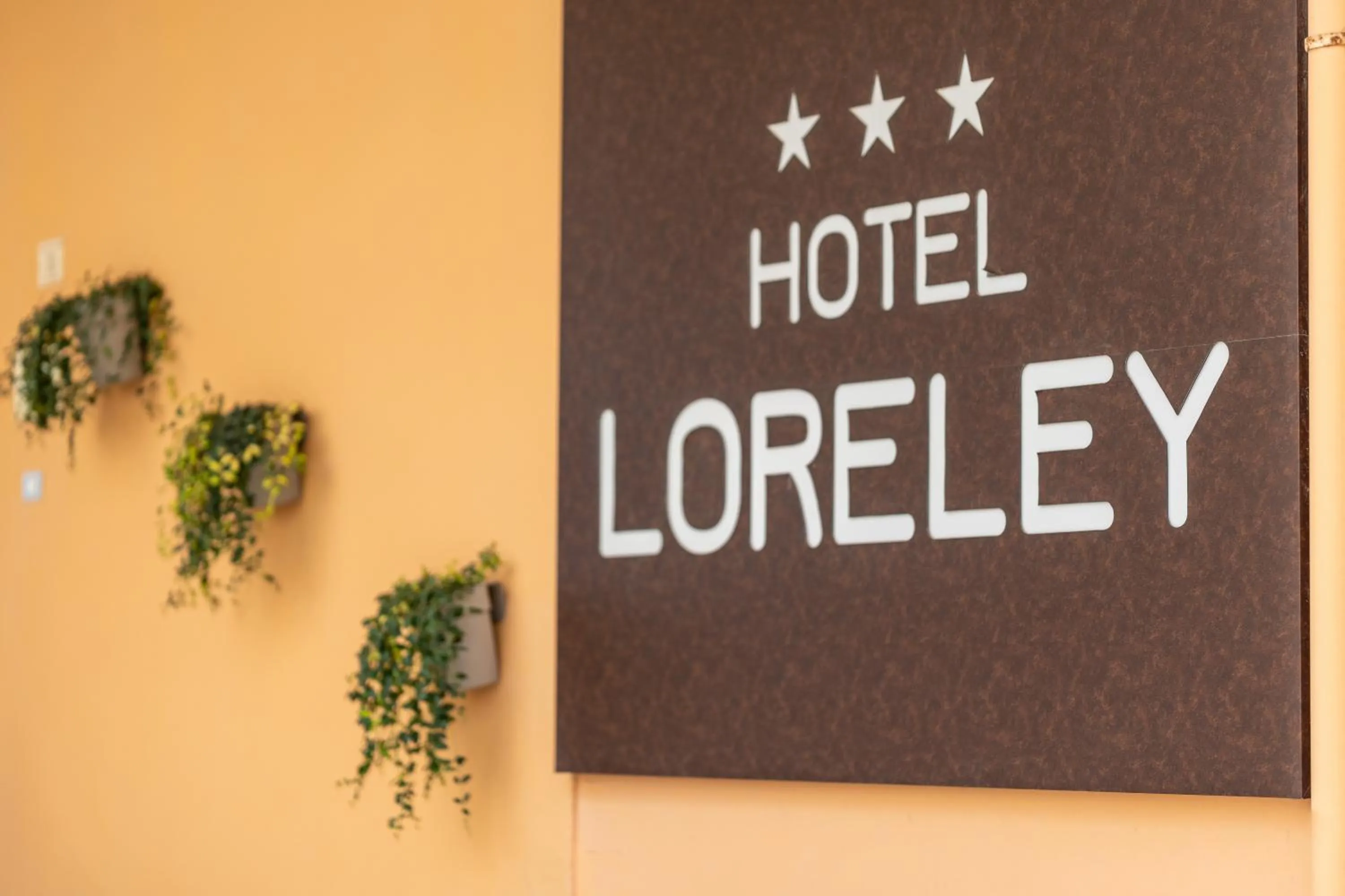 Hotel Loreley