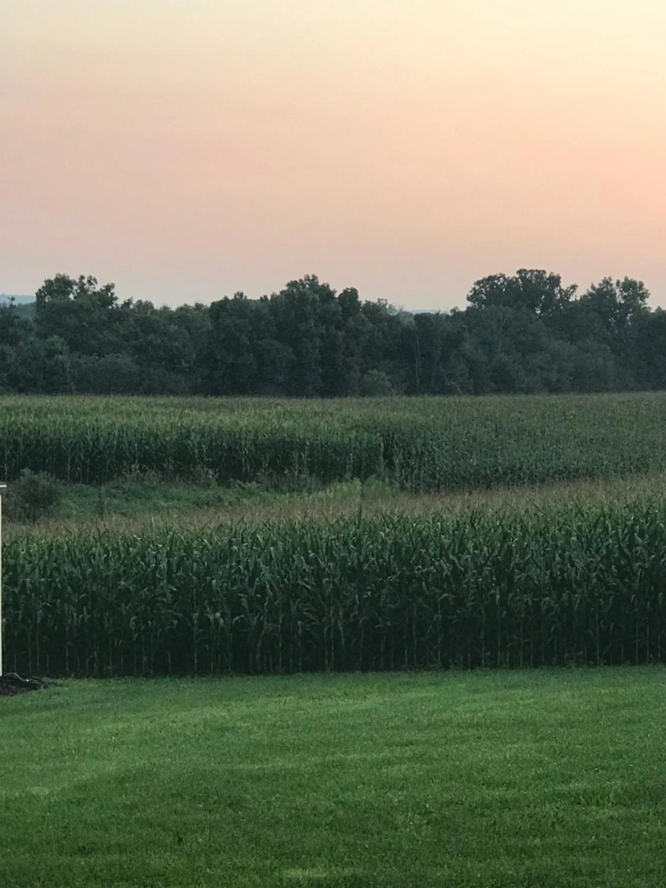 Natural landscape in Carriage Stop Bed & Breakfast