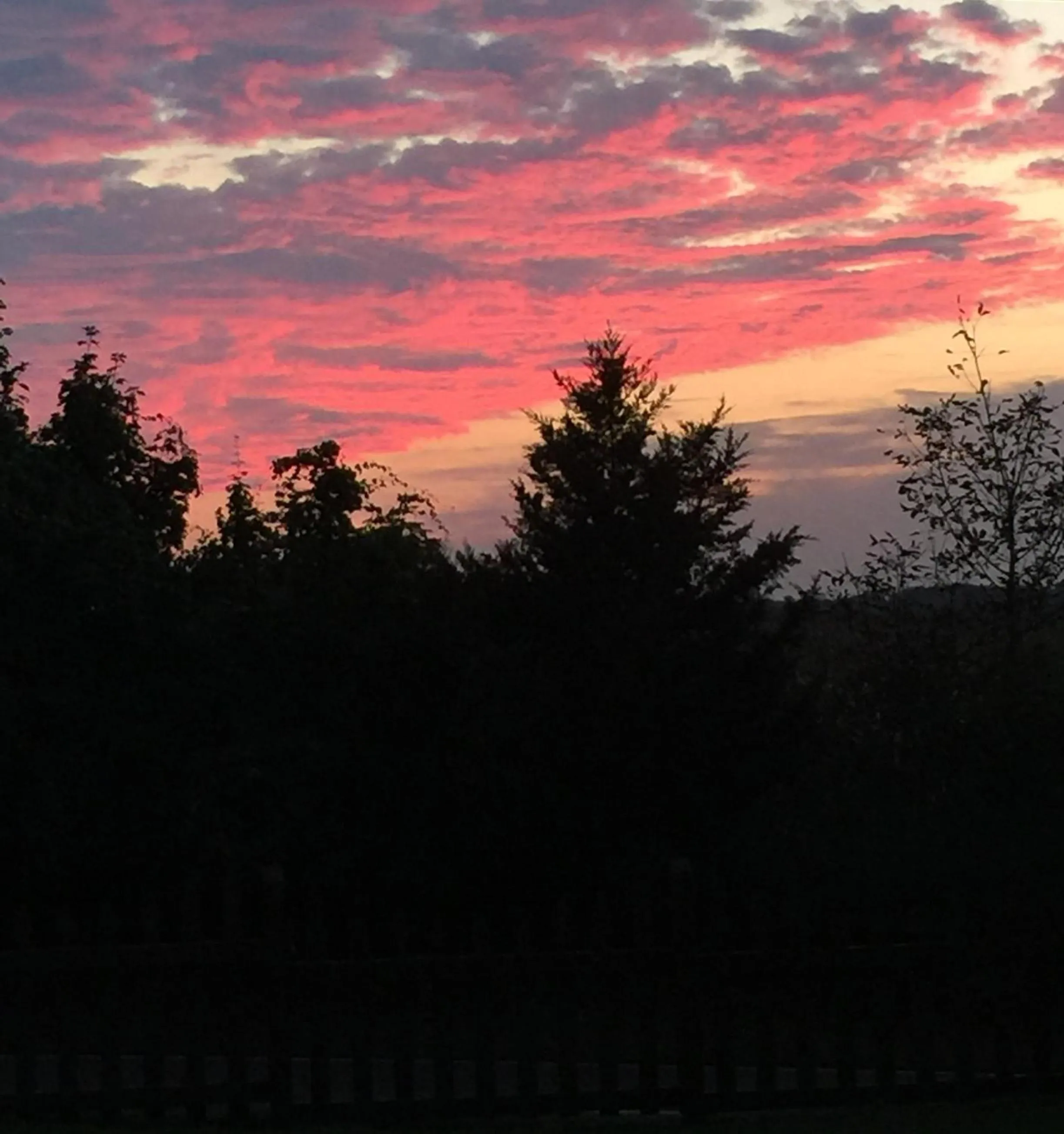 View (from property/room) in Carriage Stop Bed & Breakfast