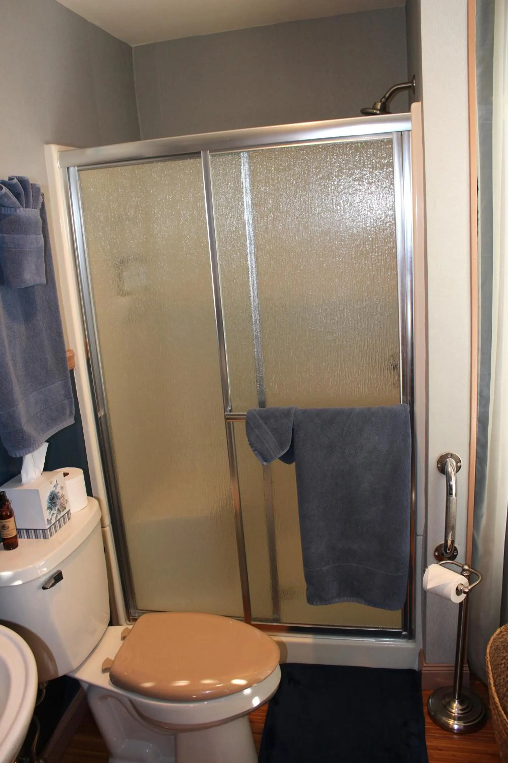 Shower in Carriage Stop Bed & Breakfast