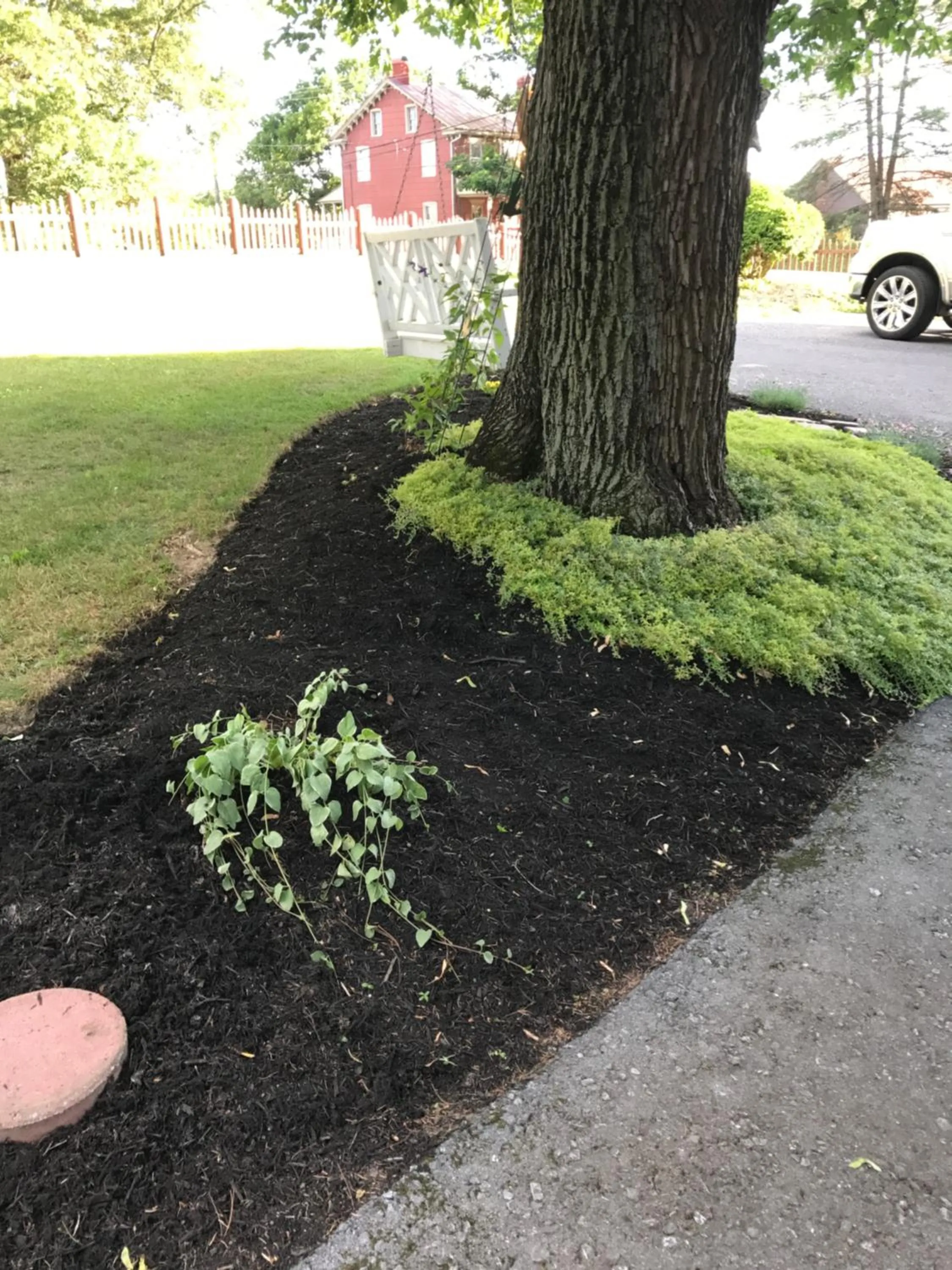 Garden in Carriage Stop Bed & Breakfast