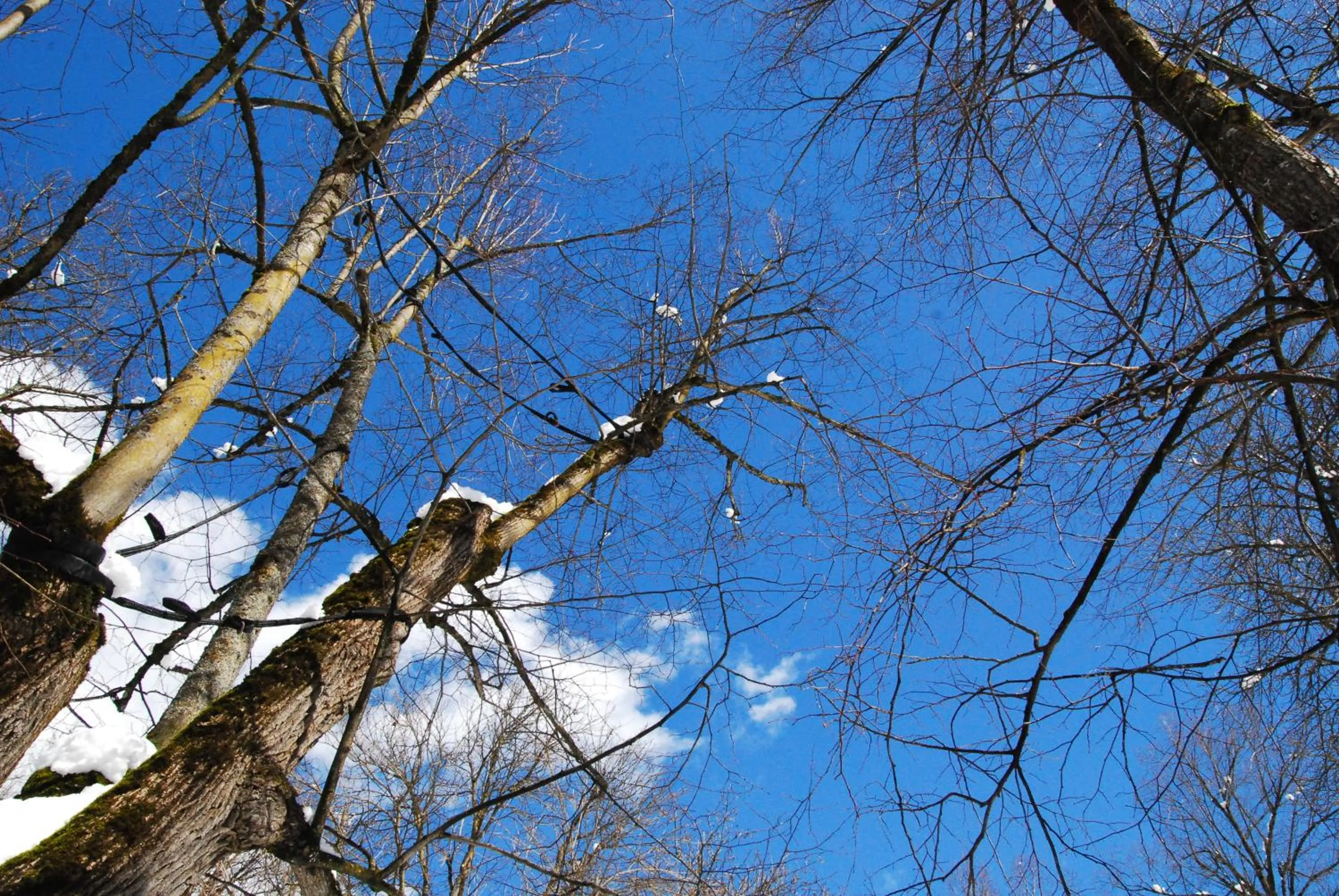 Nearby landmark in Hotel San Valier