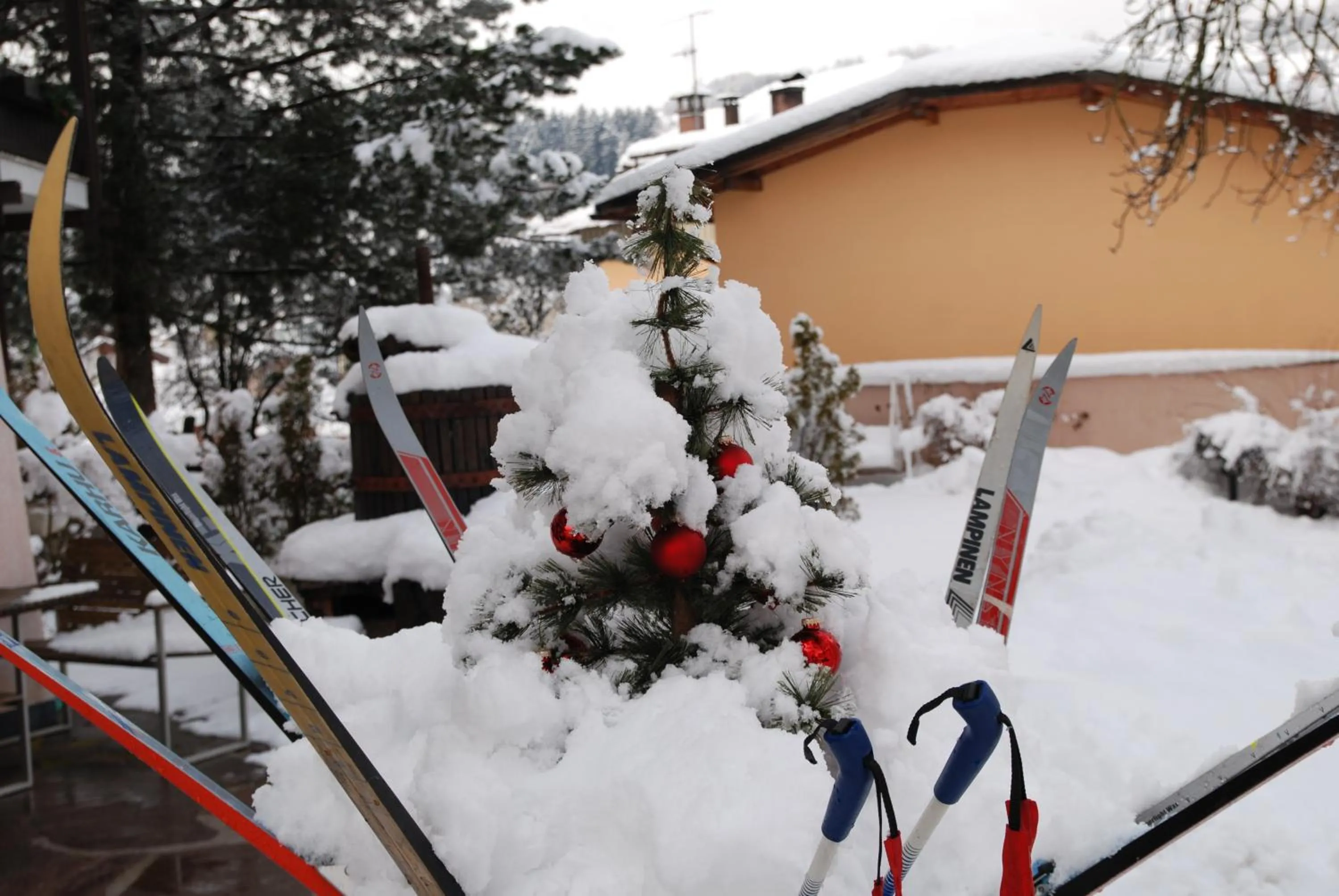 Winter in Hotel San Valier