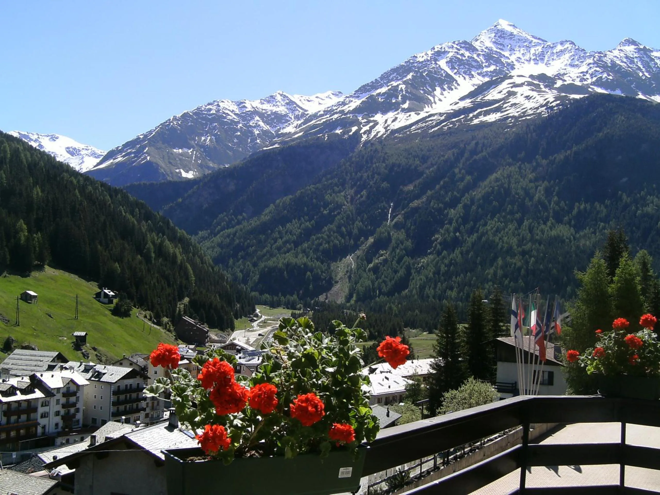 Summer in Hotel Meublè Adler - Rooms & Mountain Apartments