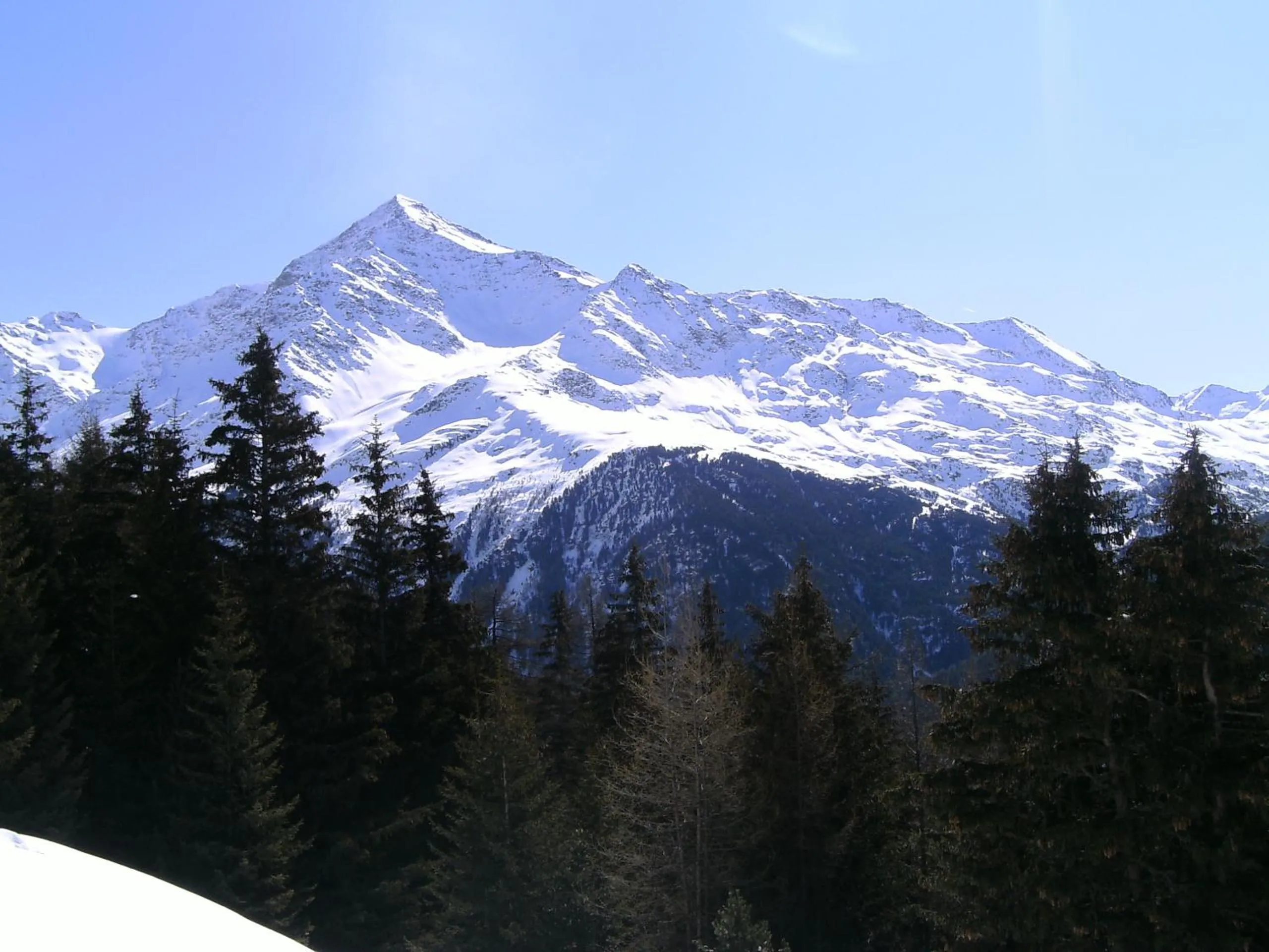 Winter in Hotel Meublè Adler - Rooms & Mountain Apartments