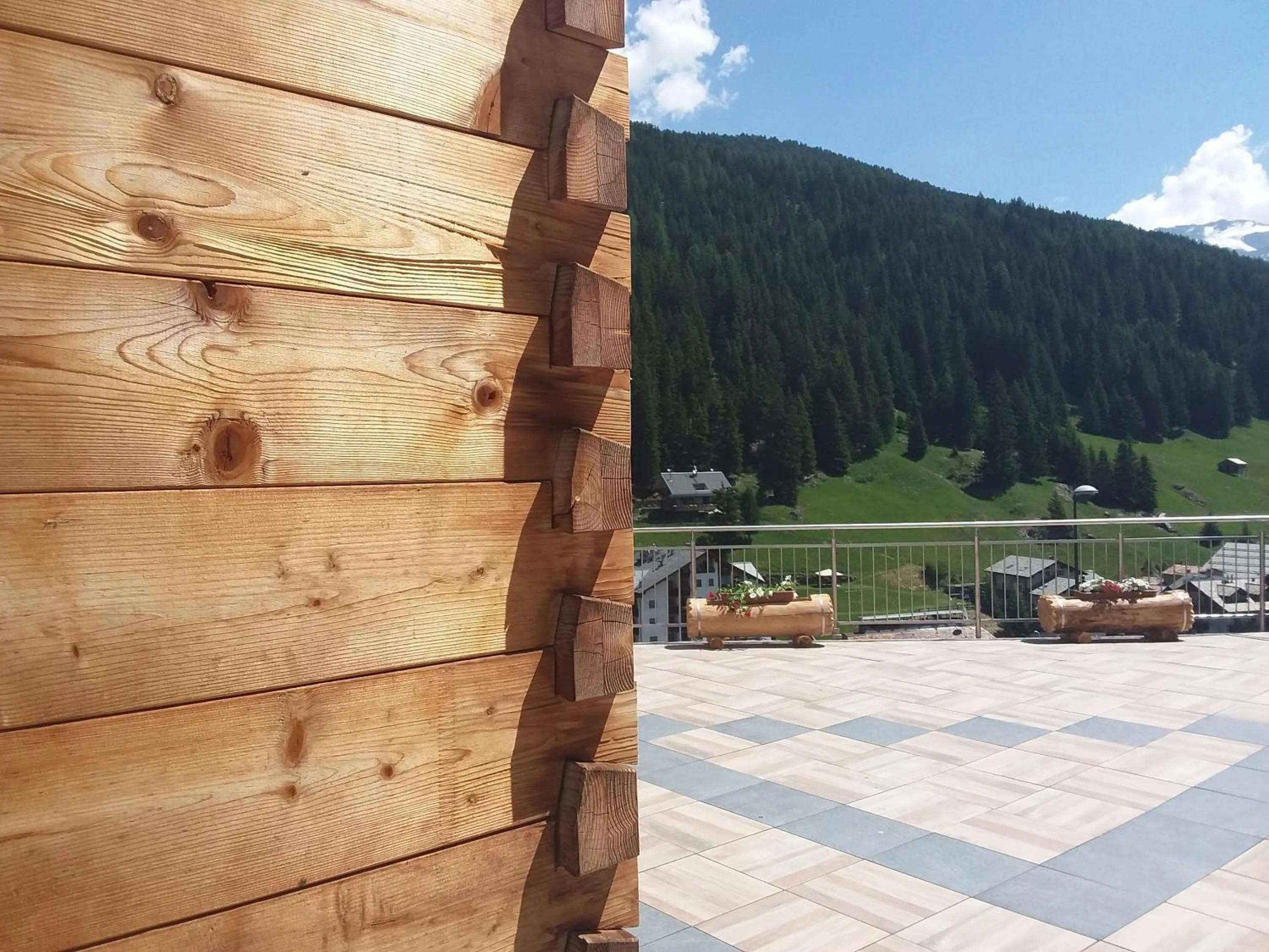 Balcony/Terrace in Hotel Meublè Adler - Rooms & Mountain Apartments