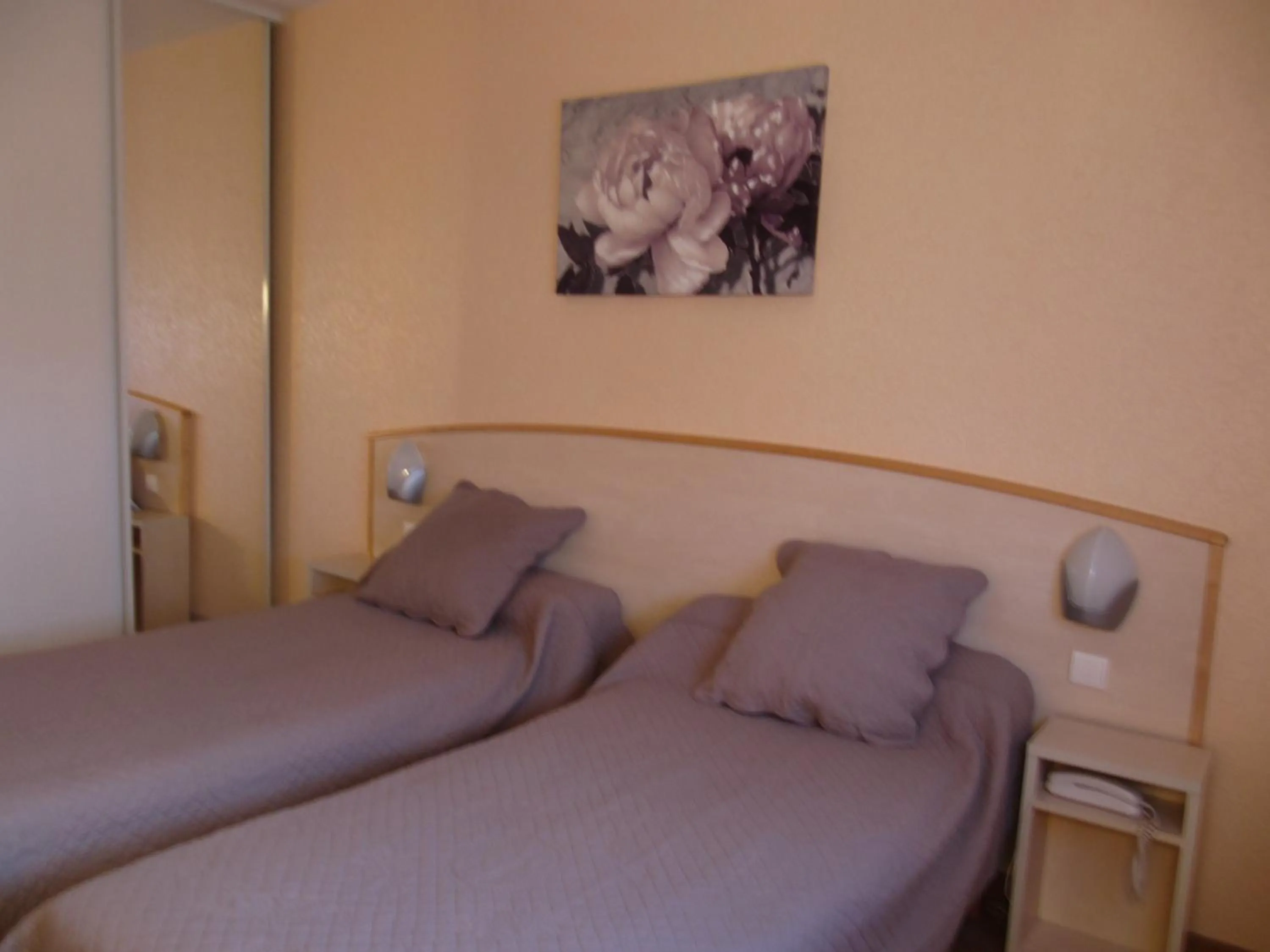 Photo of the whole room, Bed in Hôtel Le Colombier