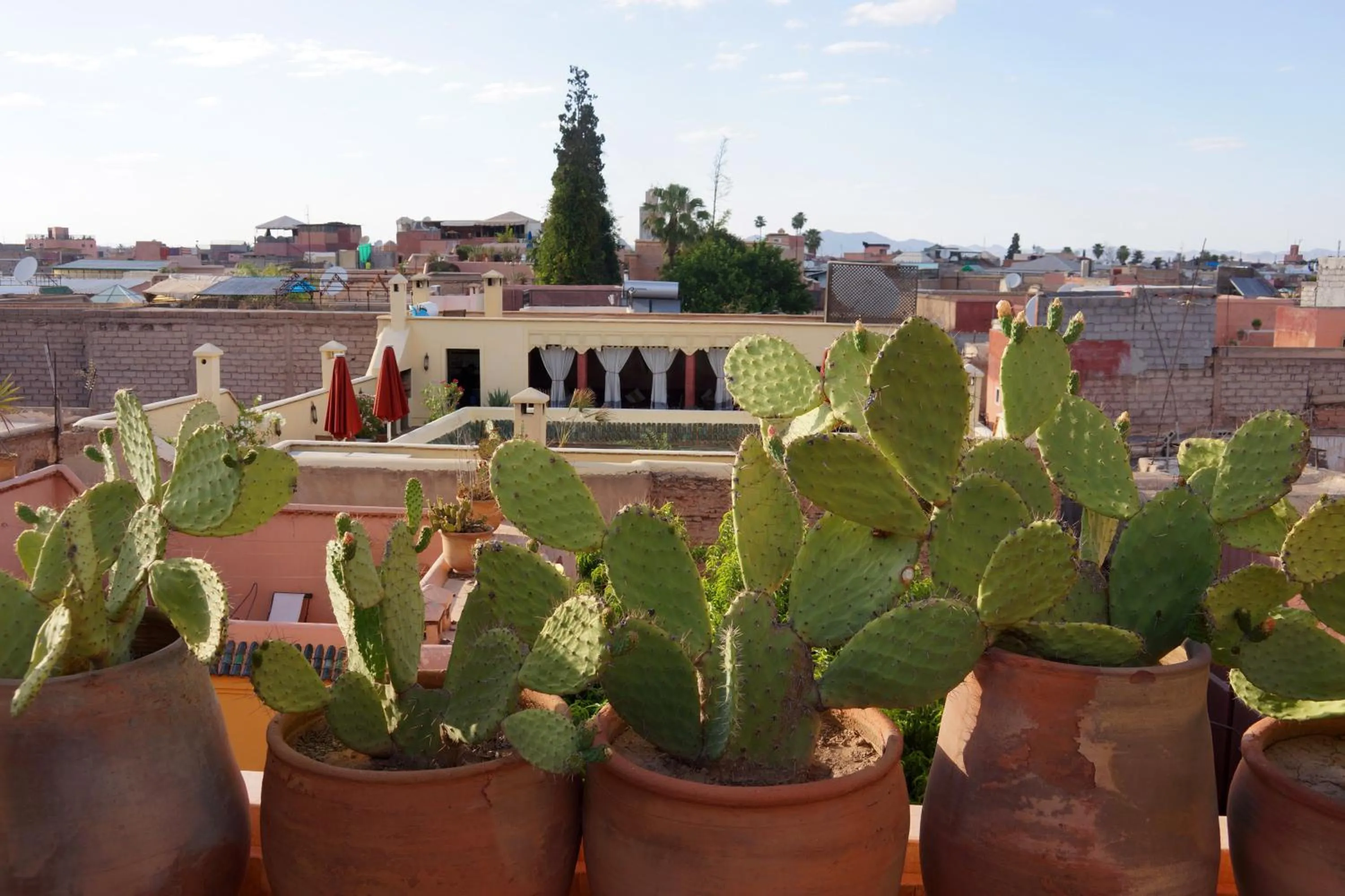 Balcony/Terrace in Riad Marrakiss