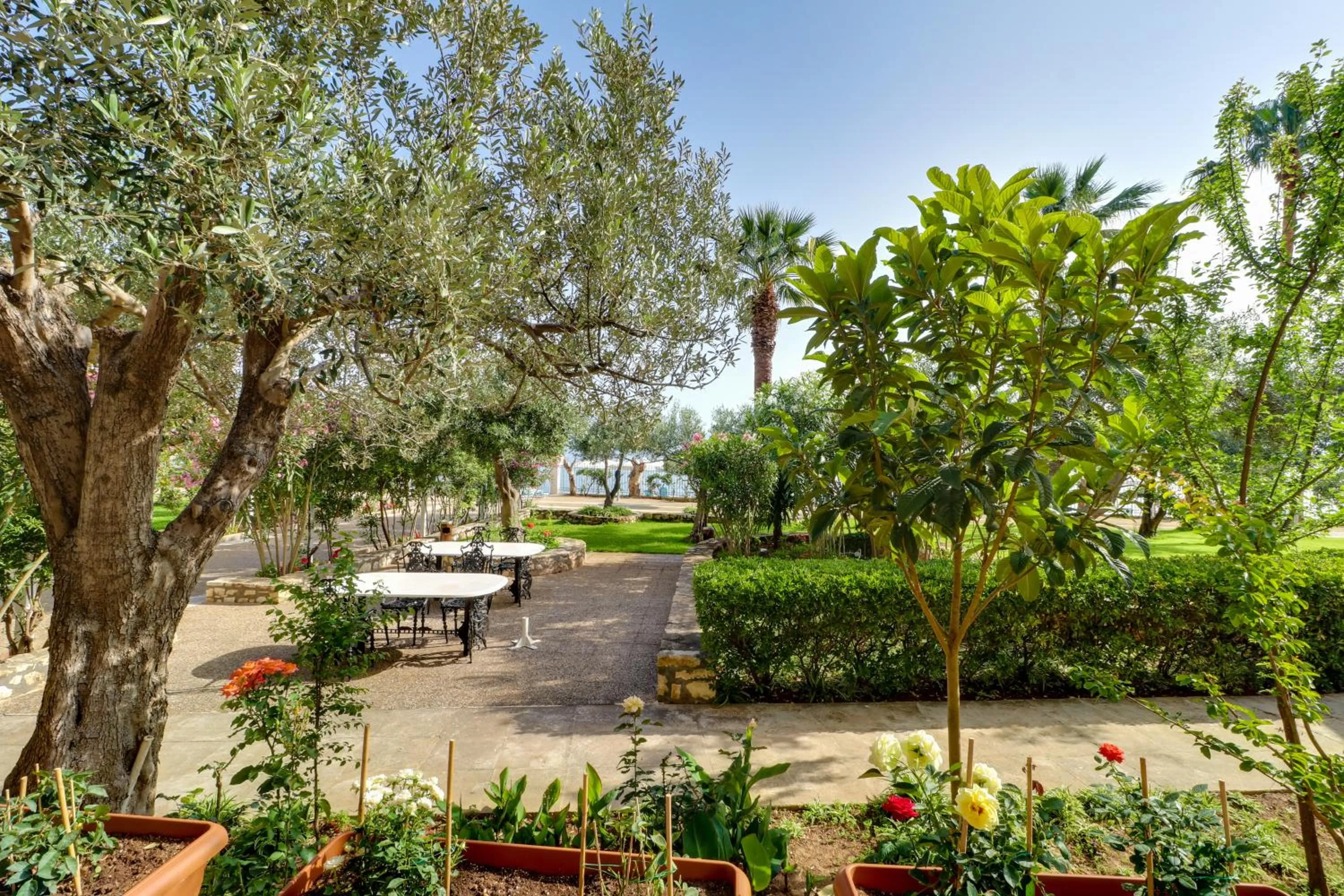 Garden in Calamos Beach Family Club