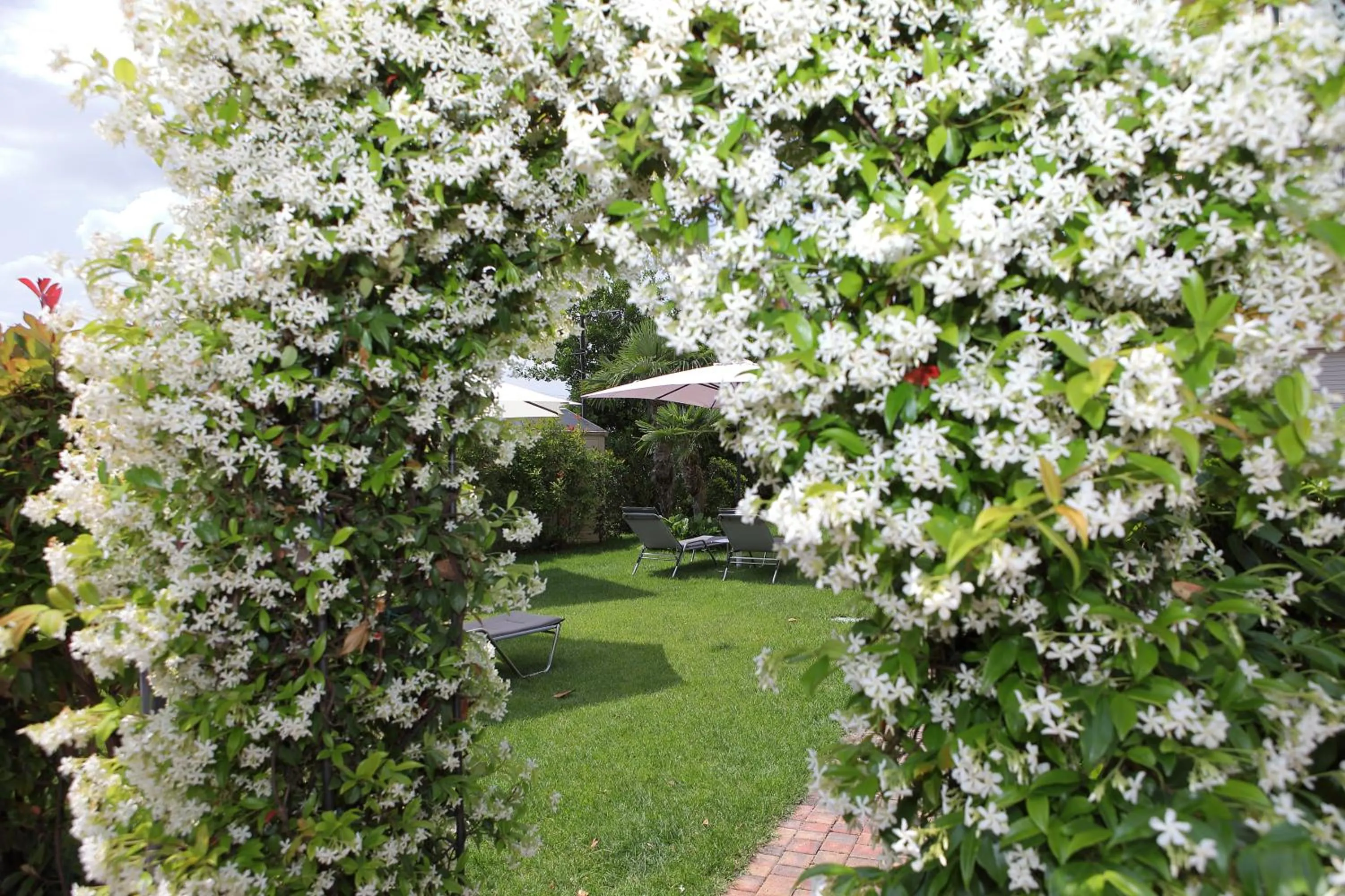 Garden in Hotel Campanello