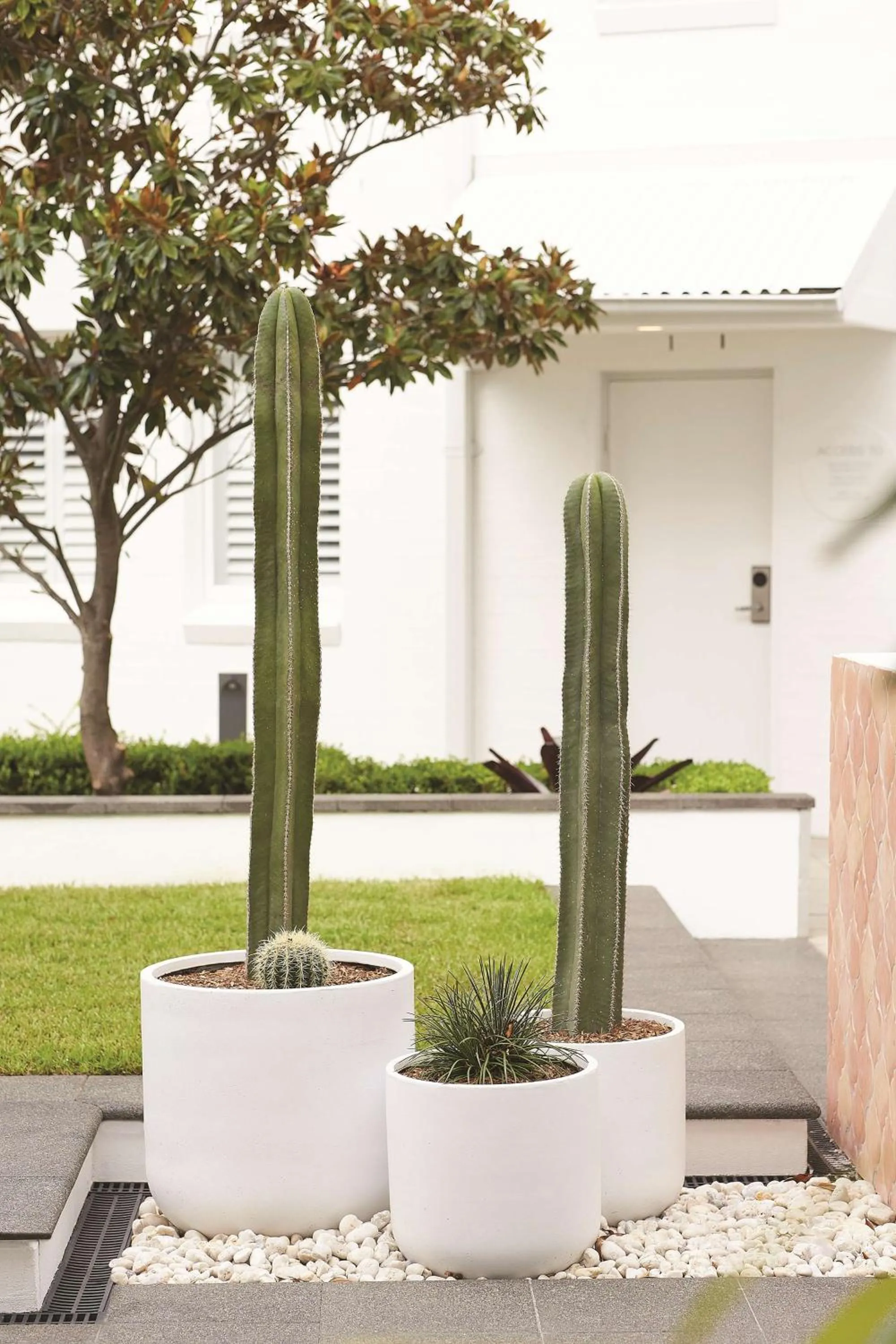 Property building in Adina Apartment Hotel Chippendale