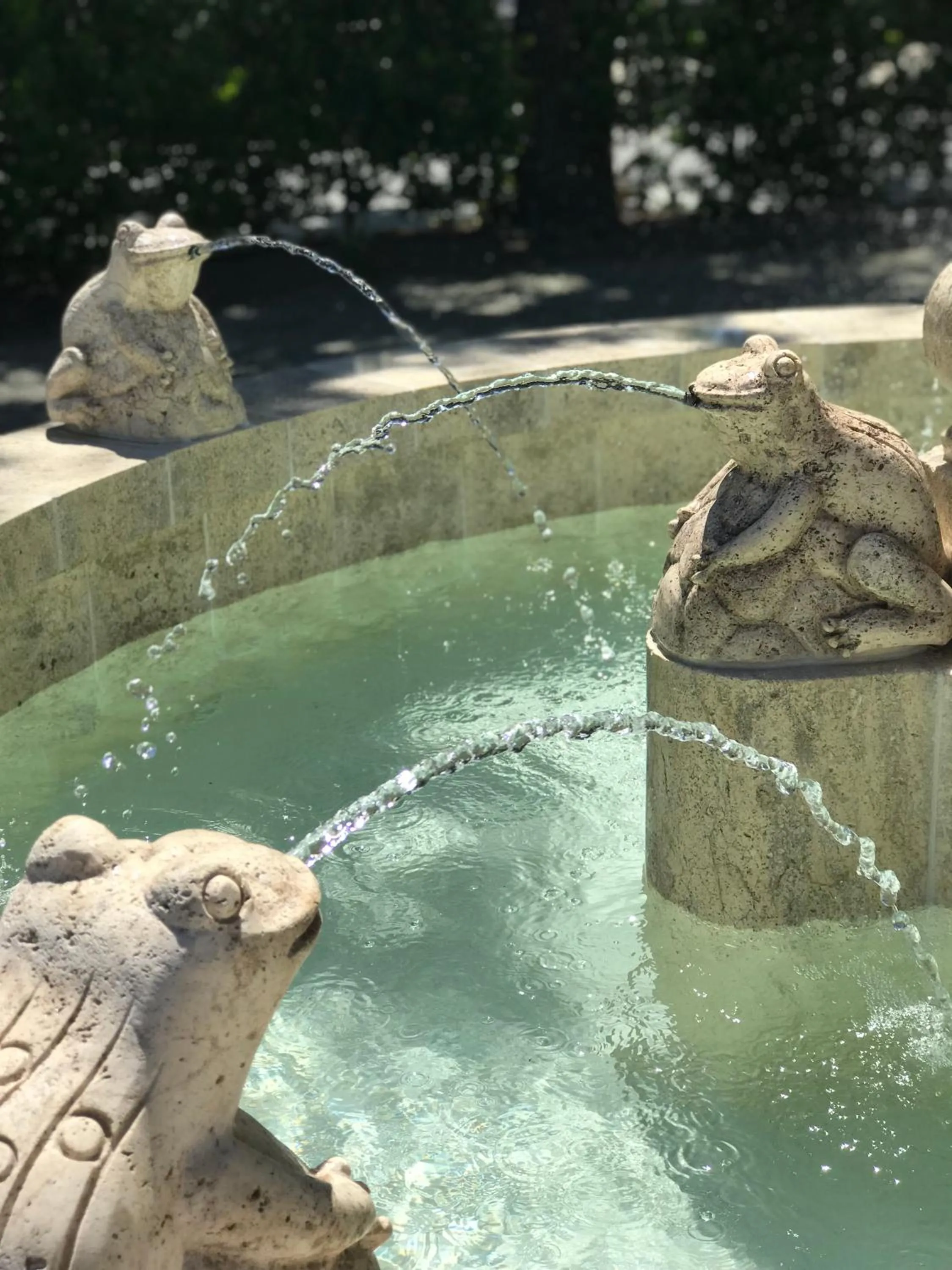 Decorative detail in The Francis House