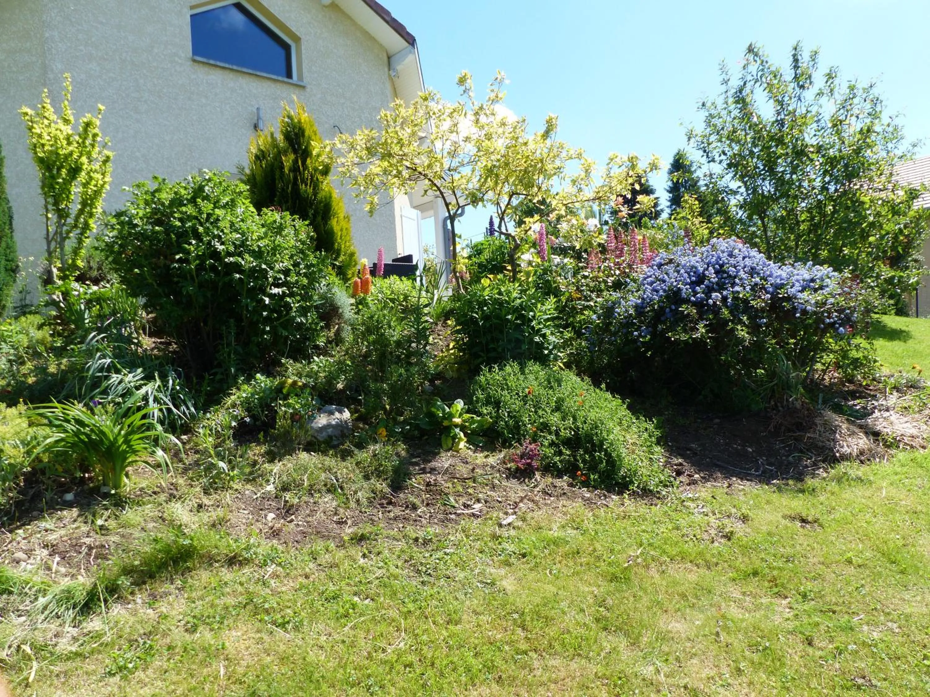 Garden view in Les Enselmes
