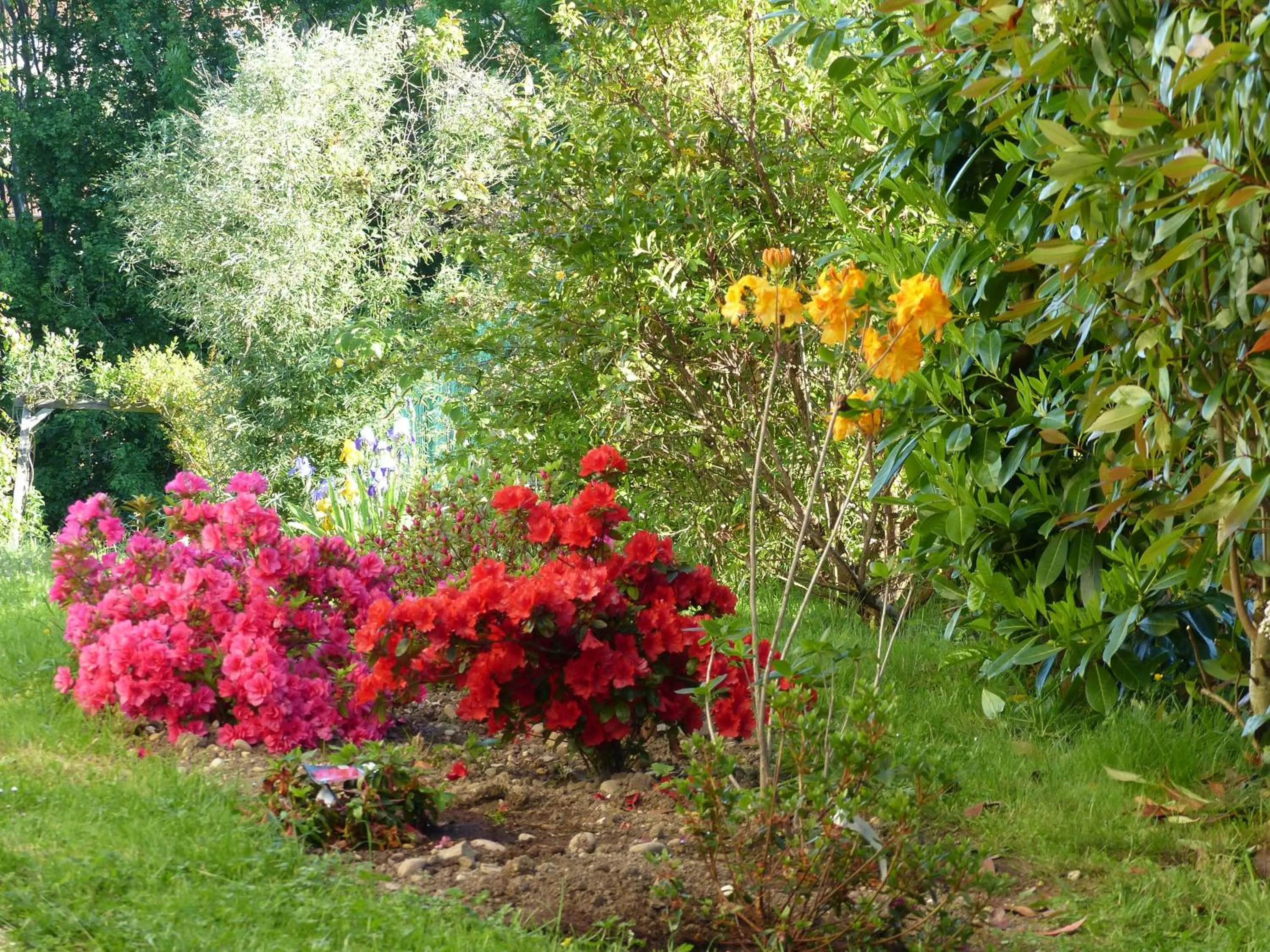 Garden view in Les Enselmes