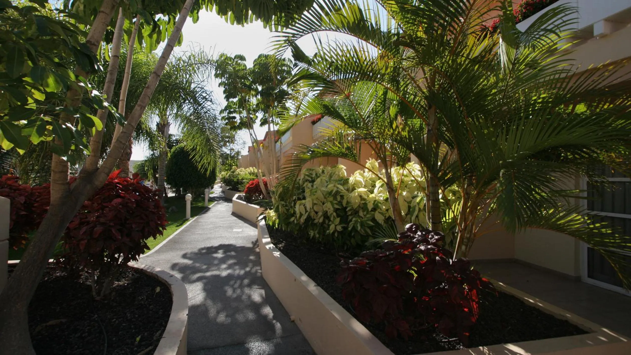 Garden in Apartamentos Jardín del Conde