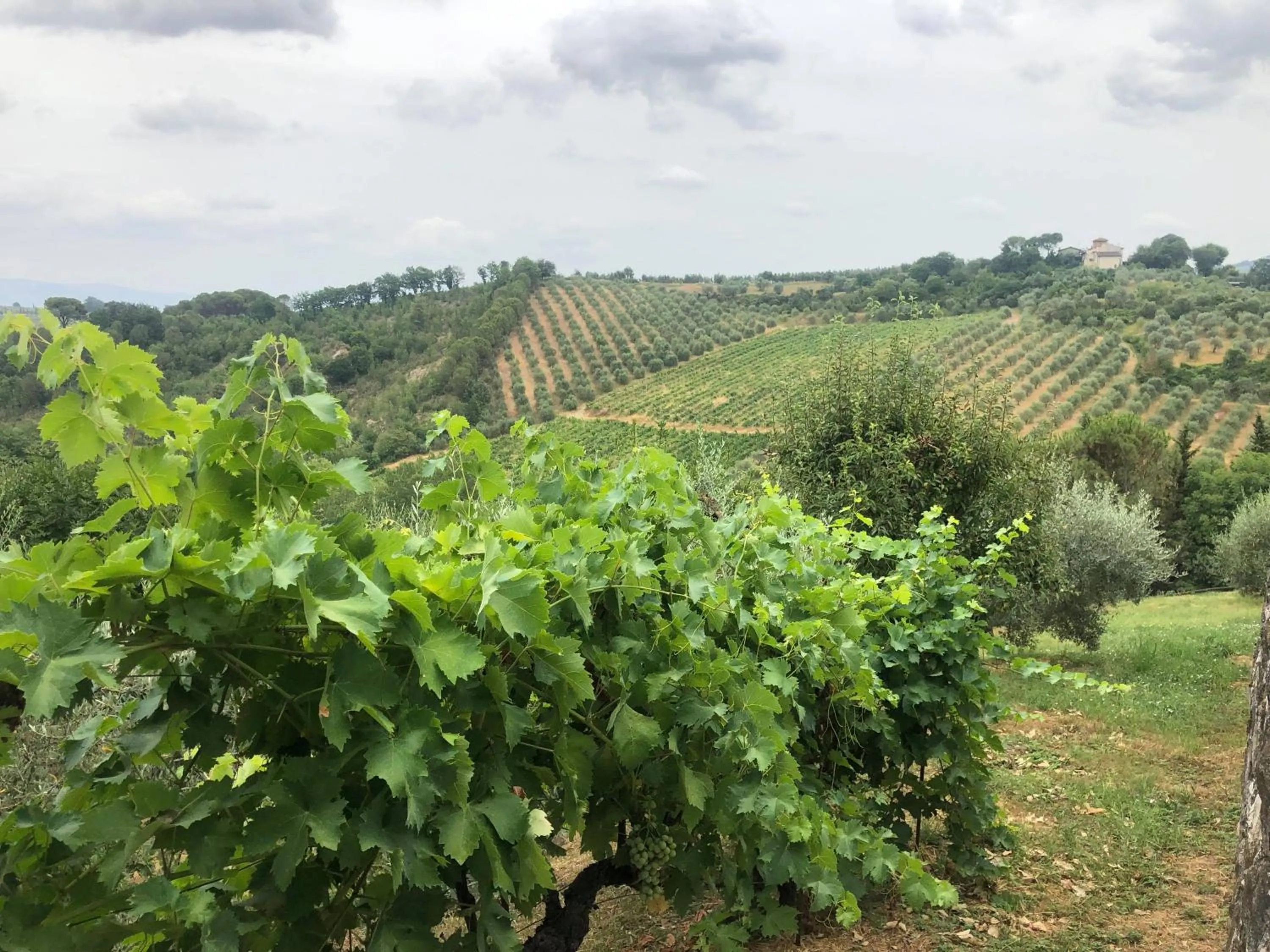 Natural landscape in La Valle di Anna