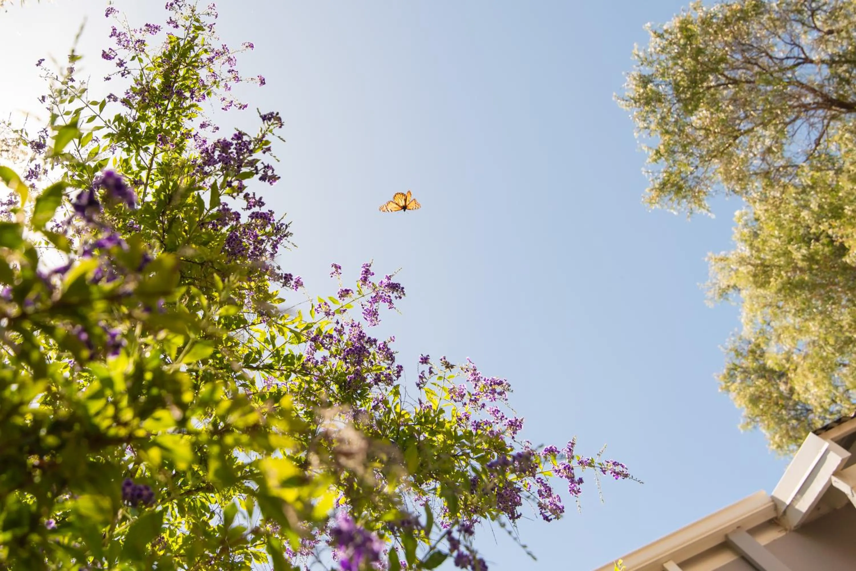 Broadwater Resort WA Tourism Awards 2025 Gold Winner