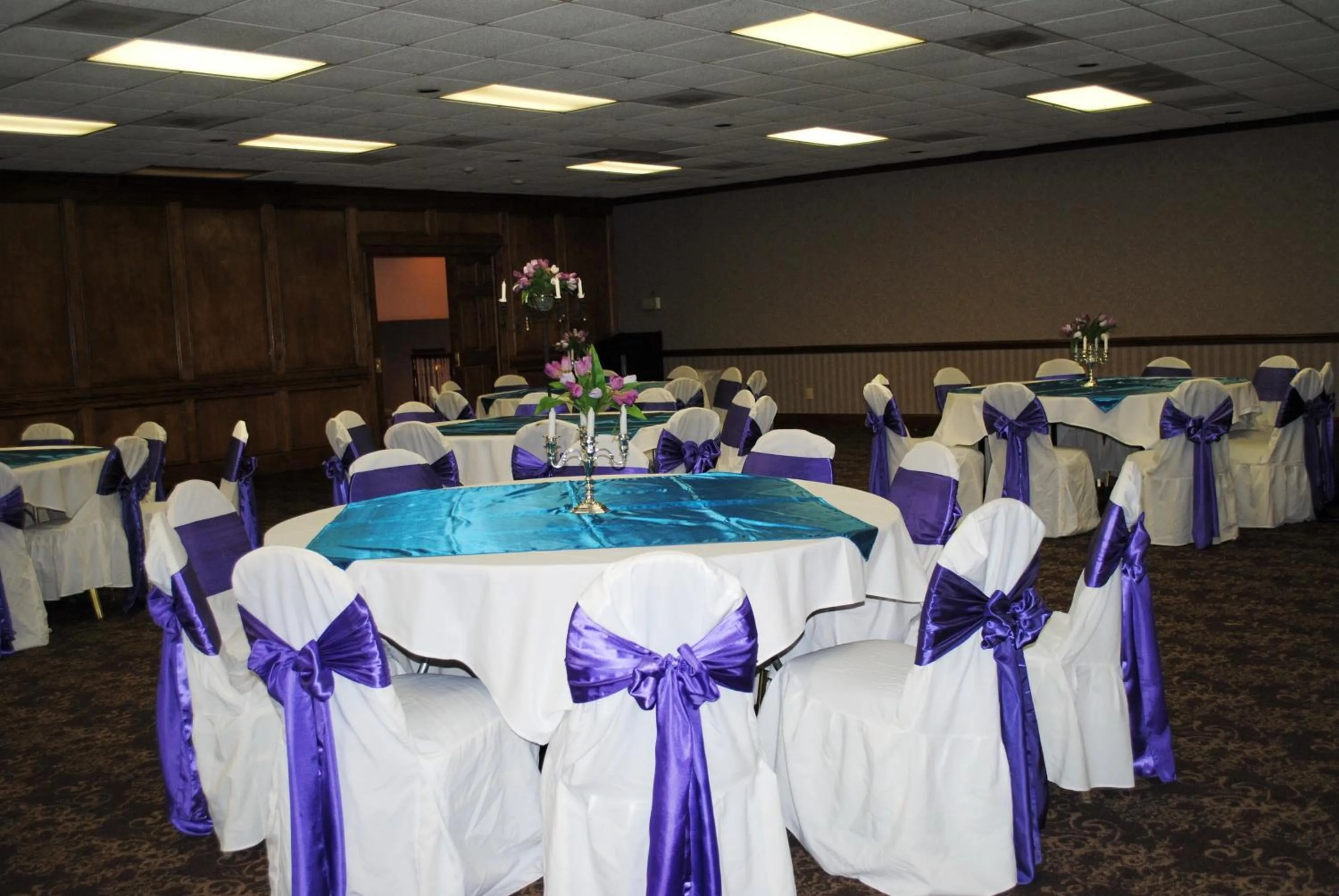 Banquet/Function facilities in Village Inn Clemmons-Winston Salem, Trademark by Wyndham