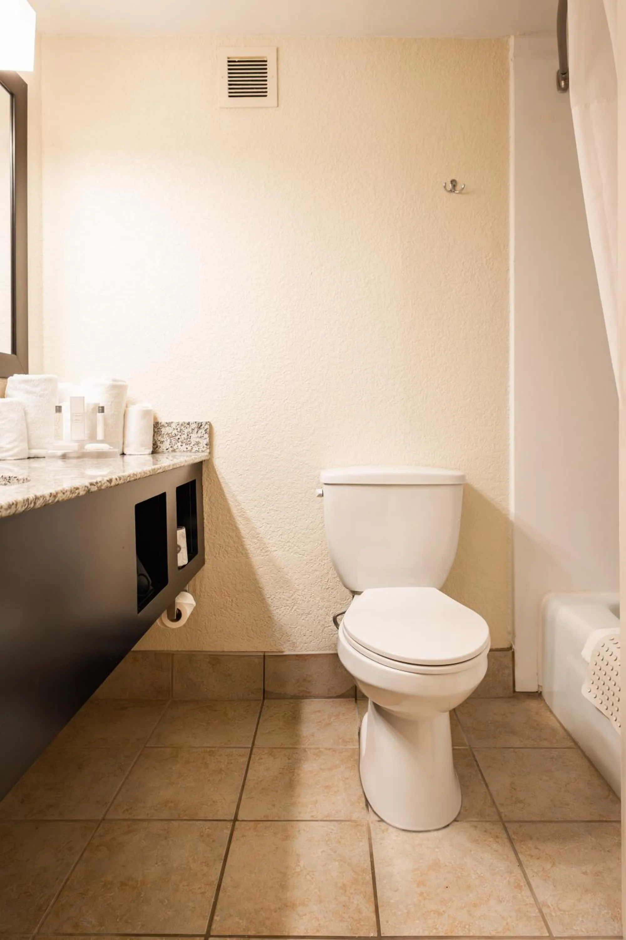 Toilet in Village Inn Clemmons-Winston Salem, Trademark by Wyndham