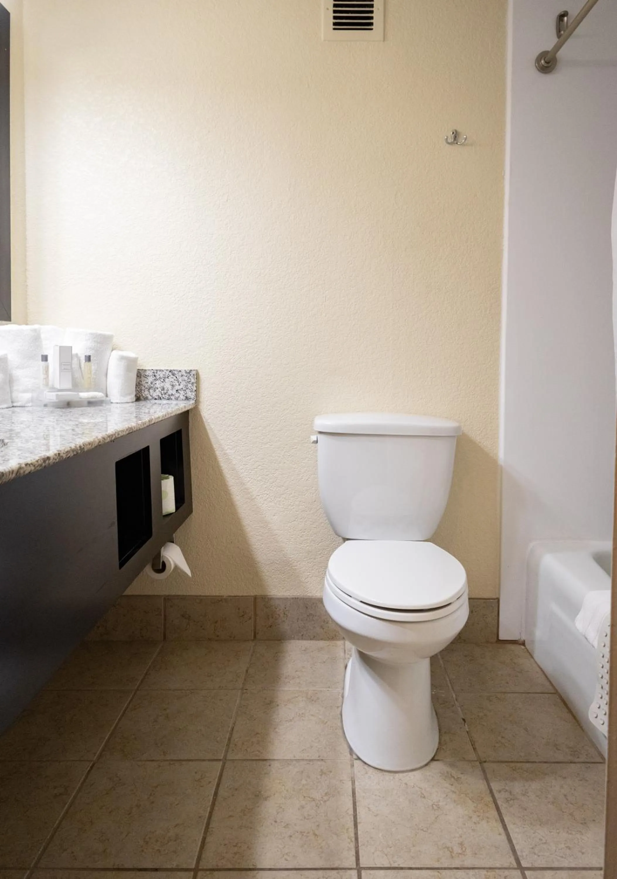 Toilet in Village Inn Clemmons-Winston Salem, Trademark by Wyndham