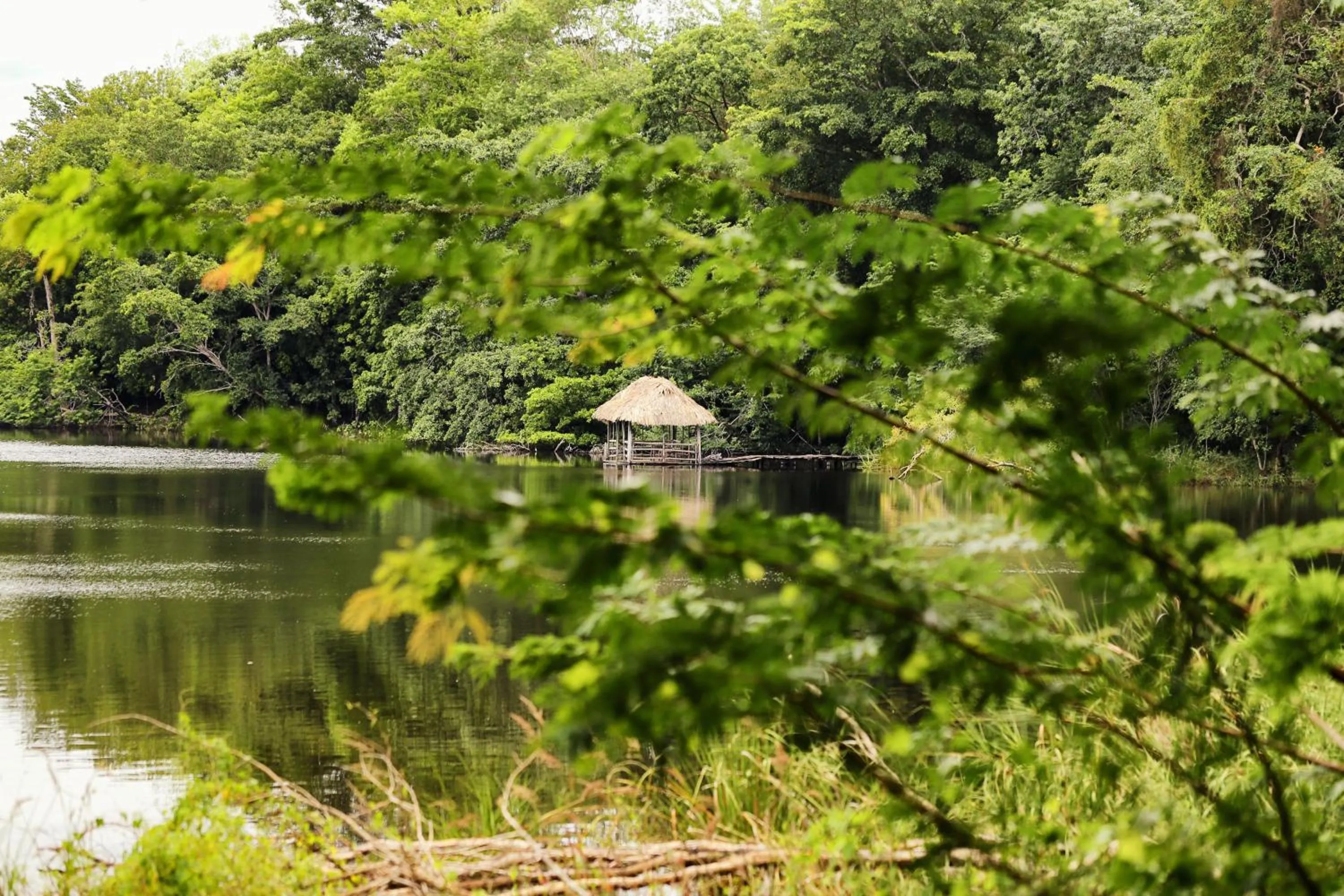 Property building in Villa Maya