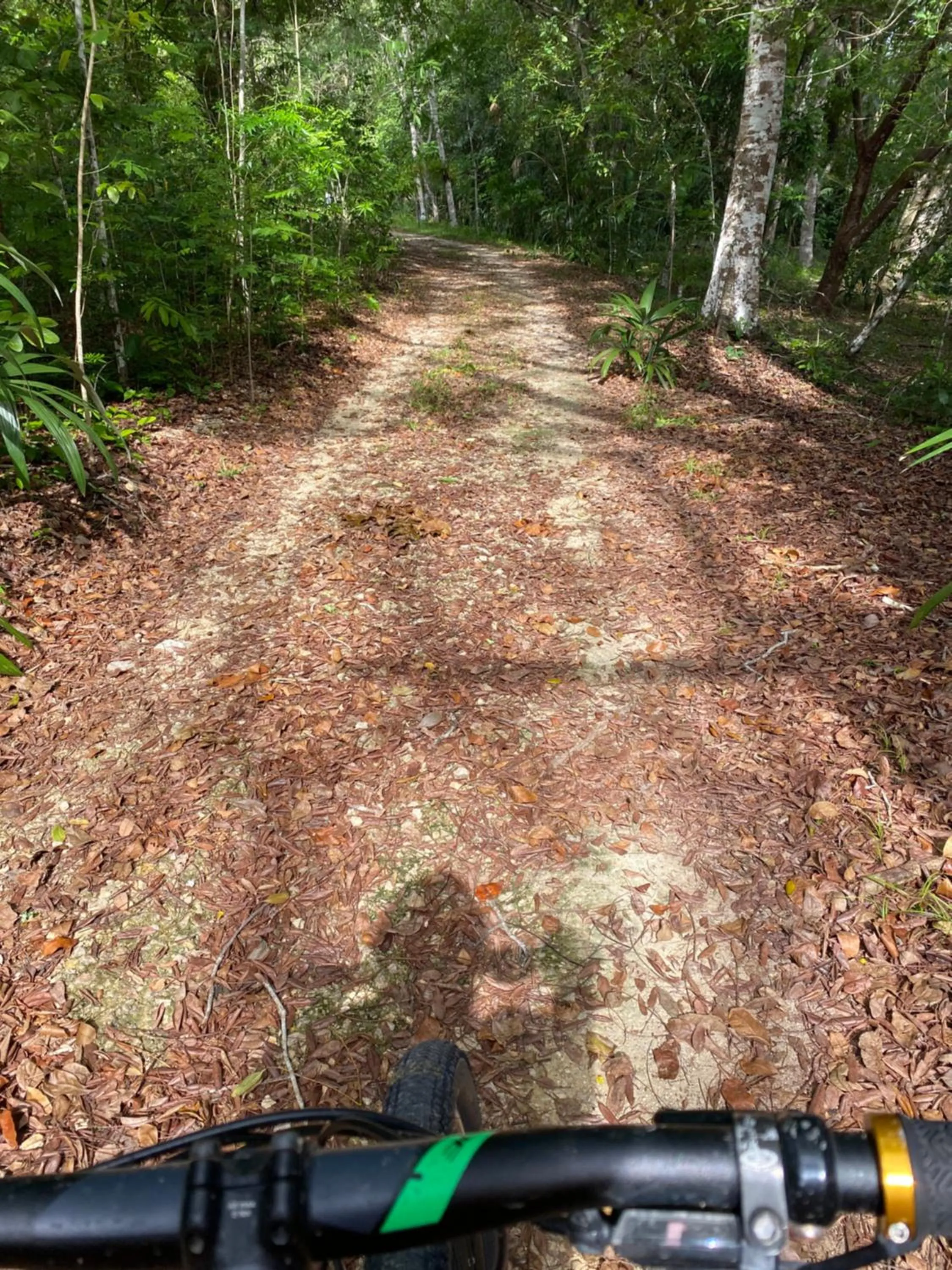 Activities in Villa Maya