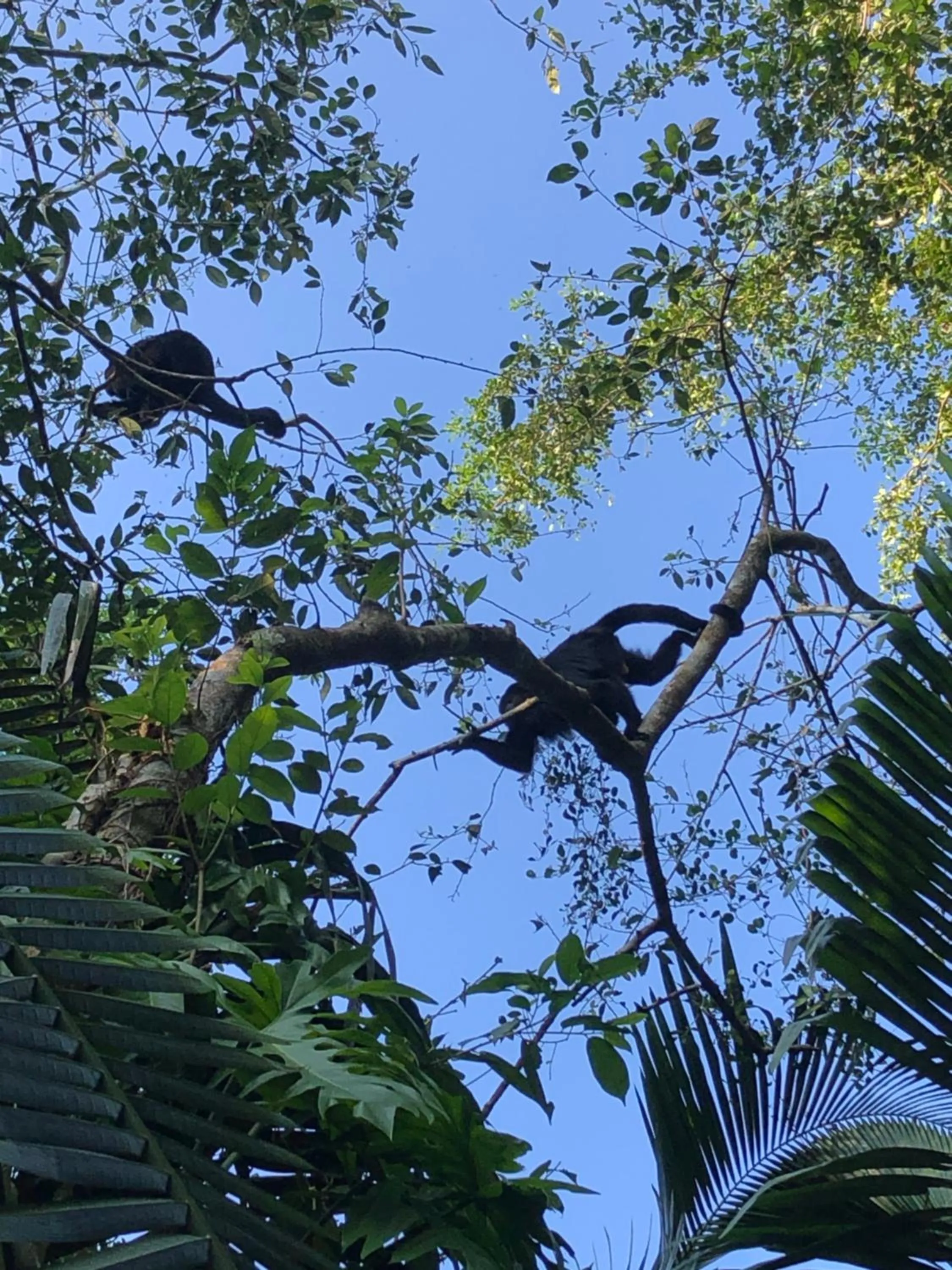 View (from property/room) in Villa Maya