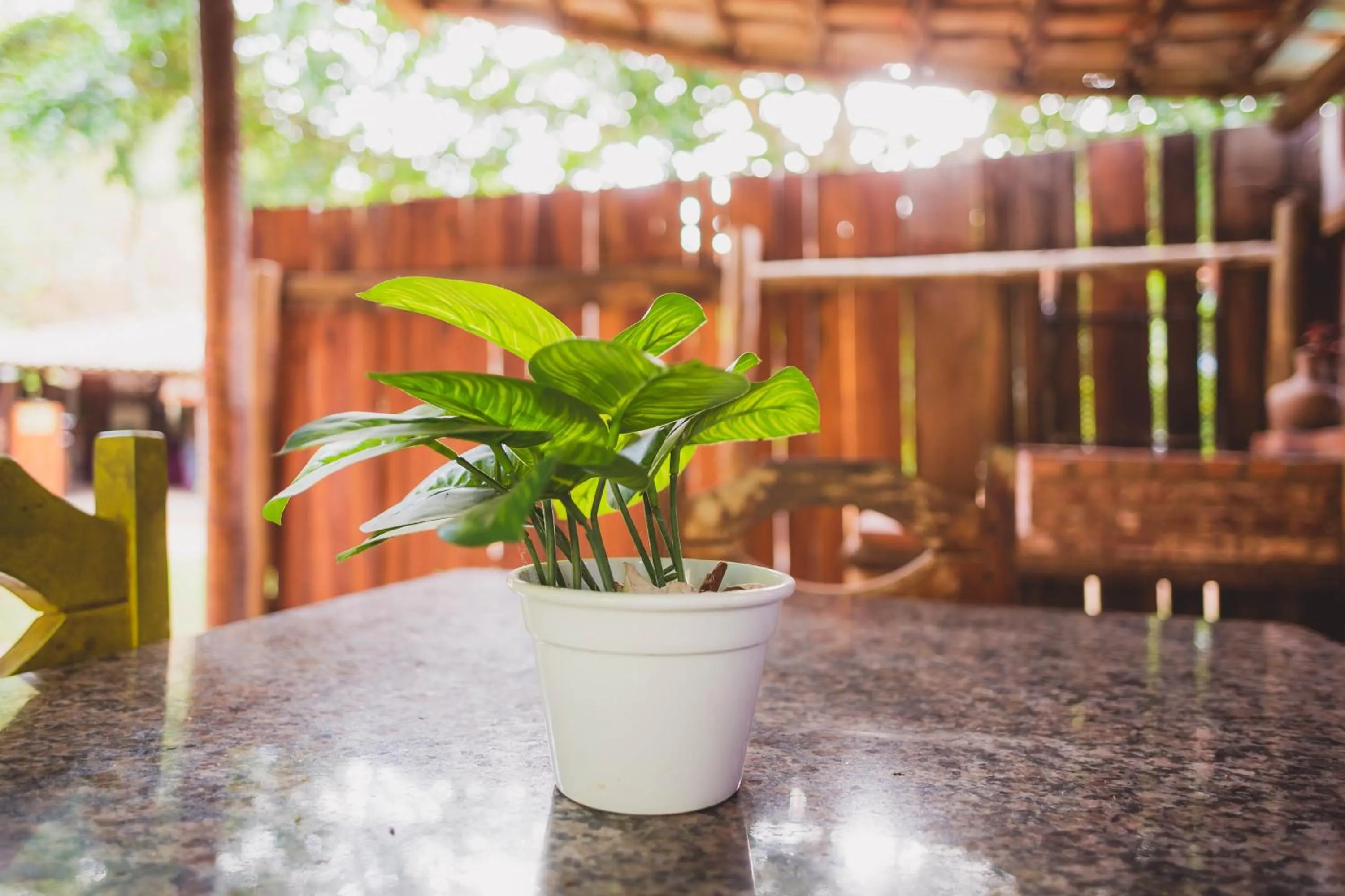 Peniel do Sana Guest House