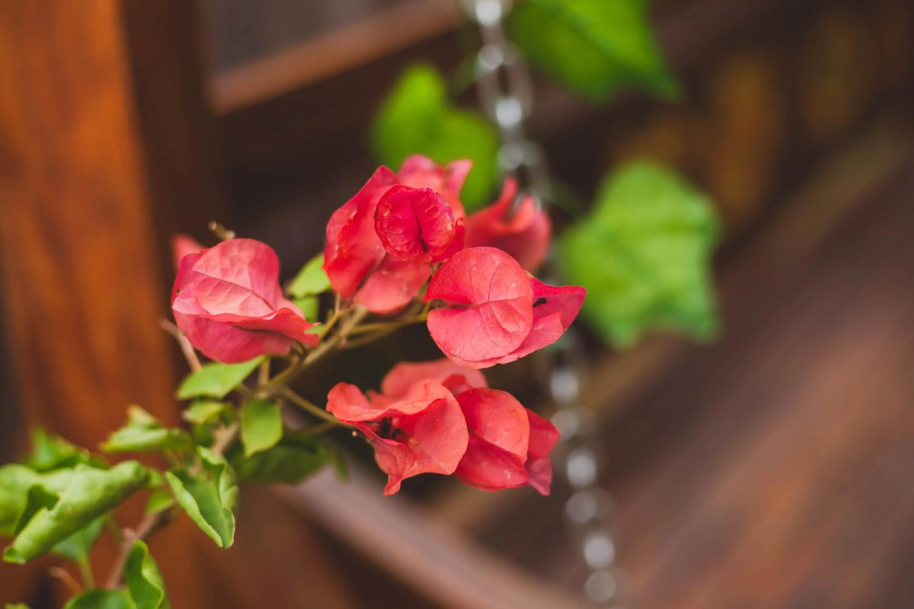 Peniel do Sana Guest House