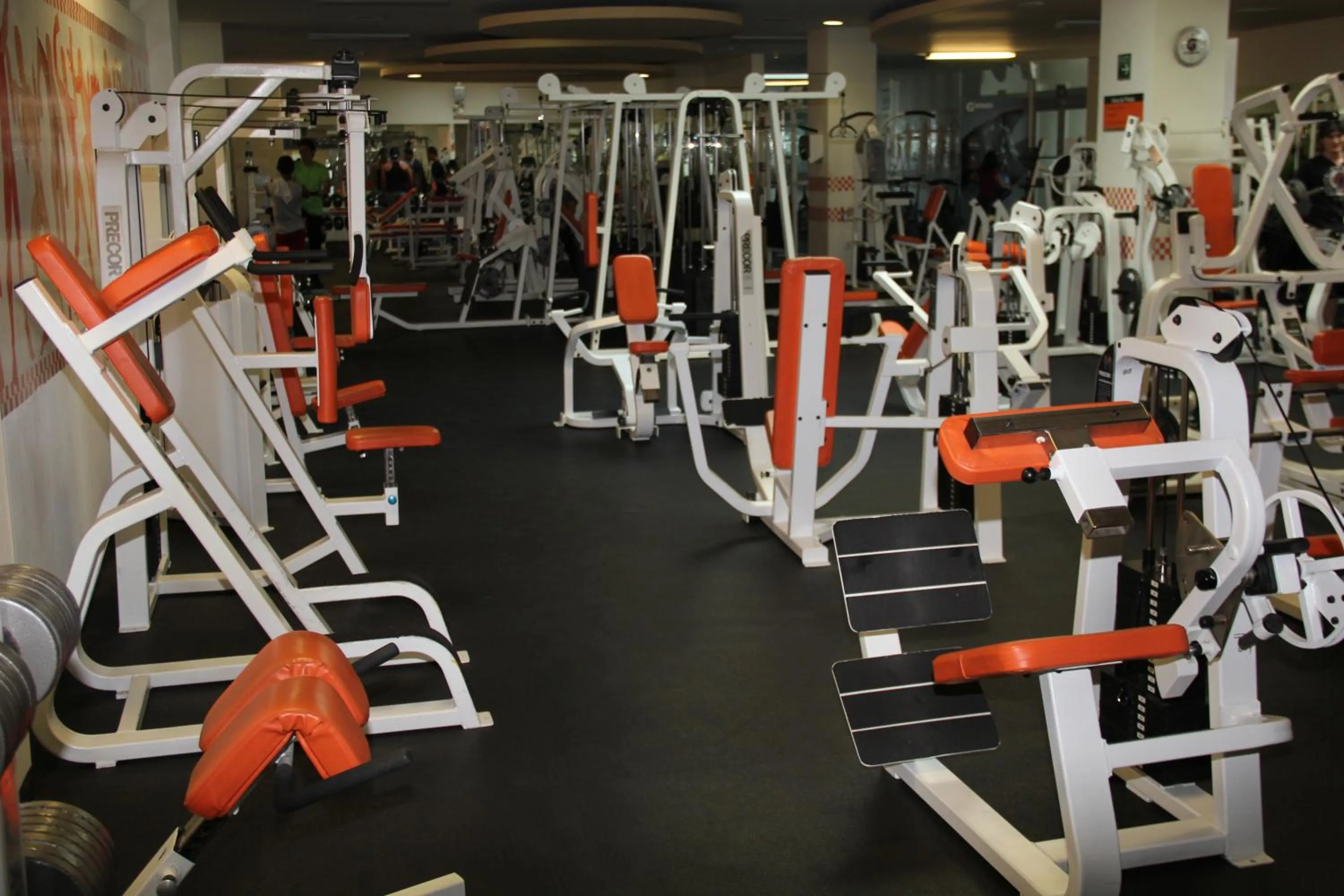 Fitness centre/facilities in Hotel Real Zapopan